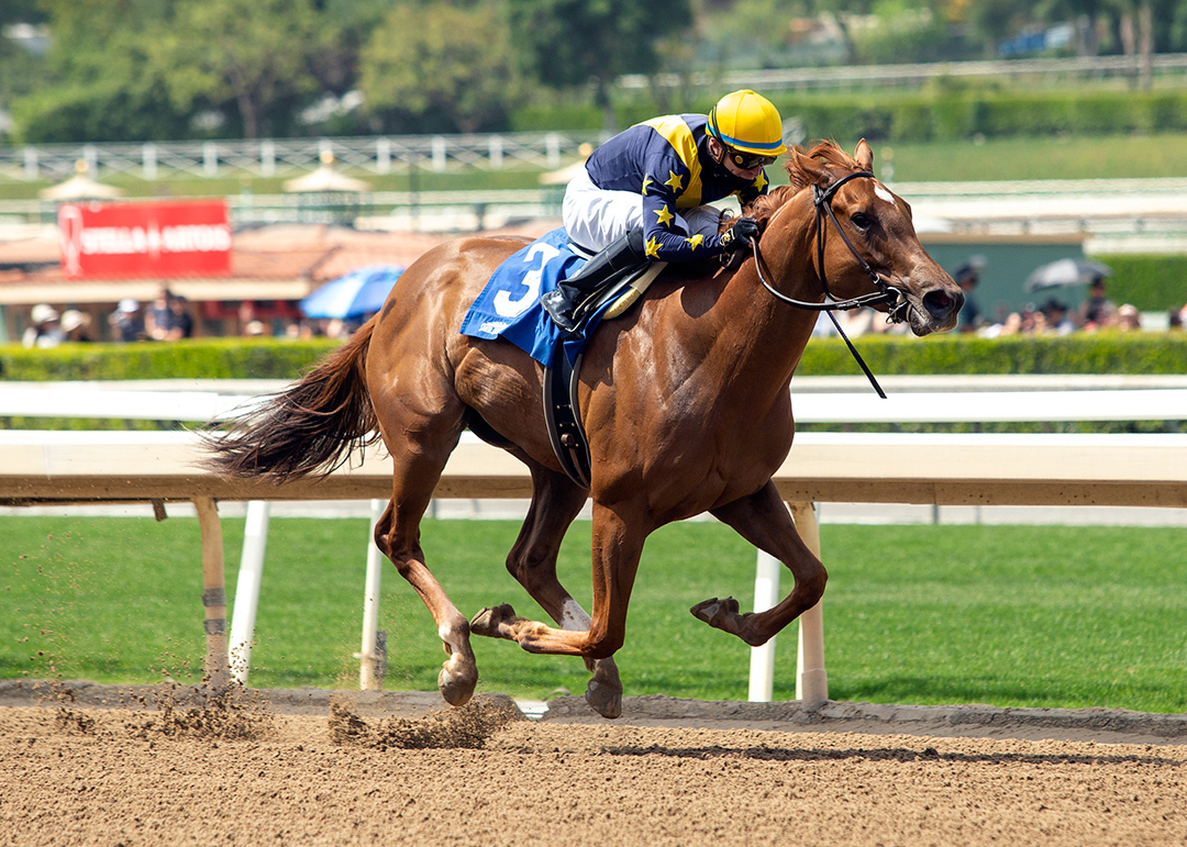 Astute wins the 2021 Angels Flight Stakes at Santa Anita Park