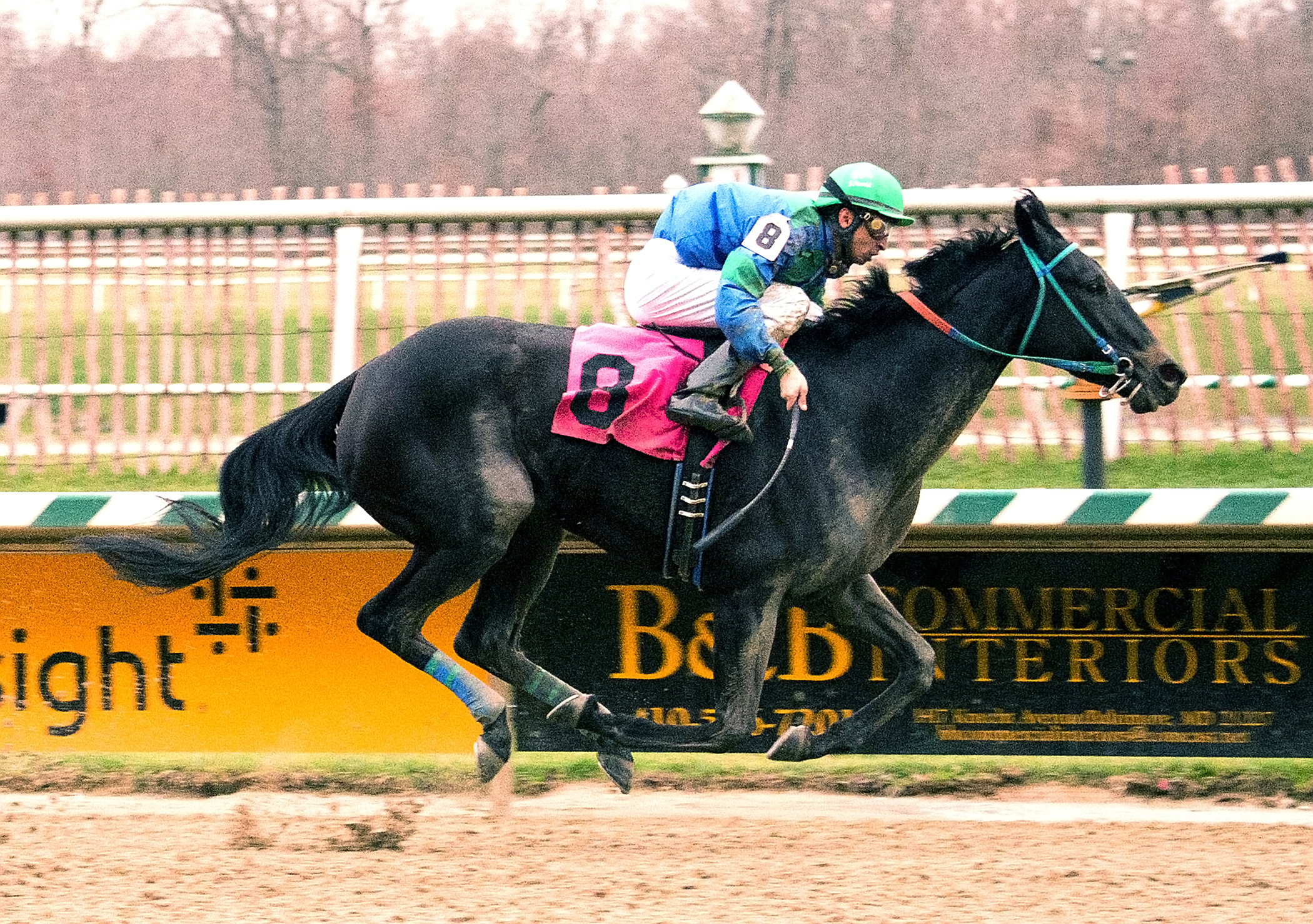 Athena wins the Thirty Eight Go Go Stakes