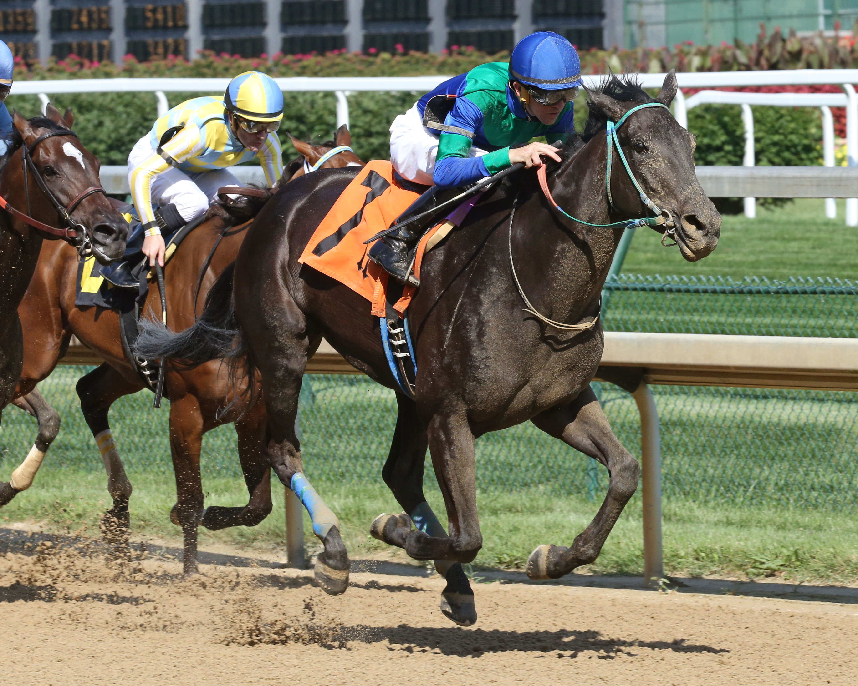 Athena wins the Roxelana Overnight Stakes