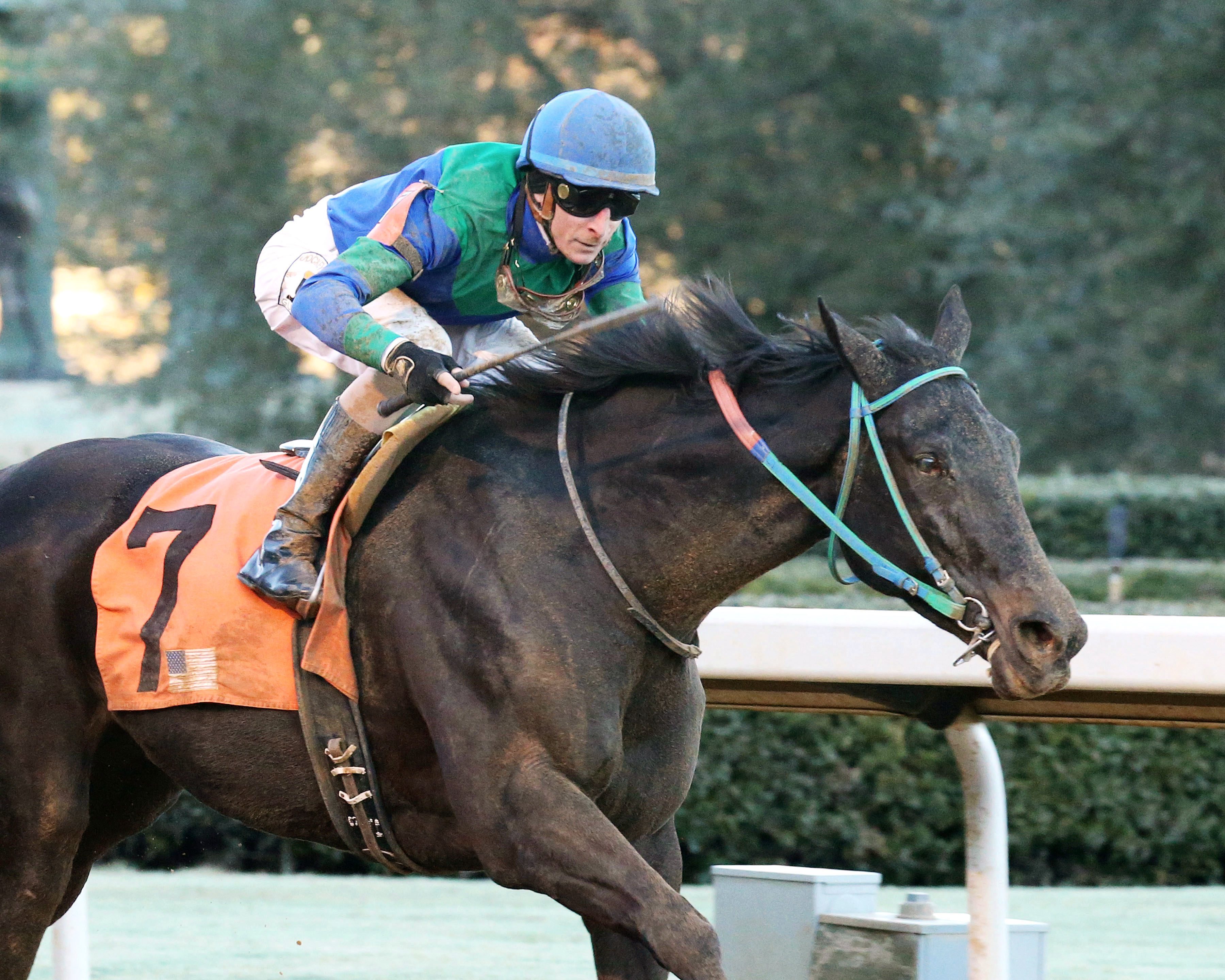 Athena wins the American Beauty