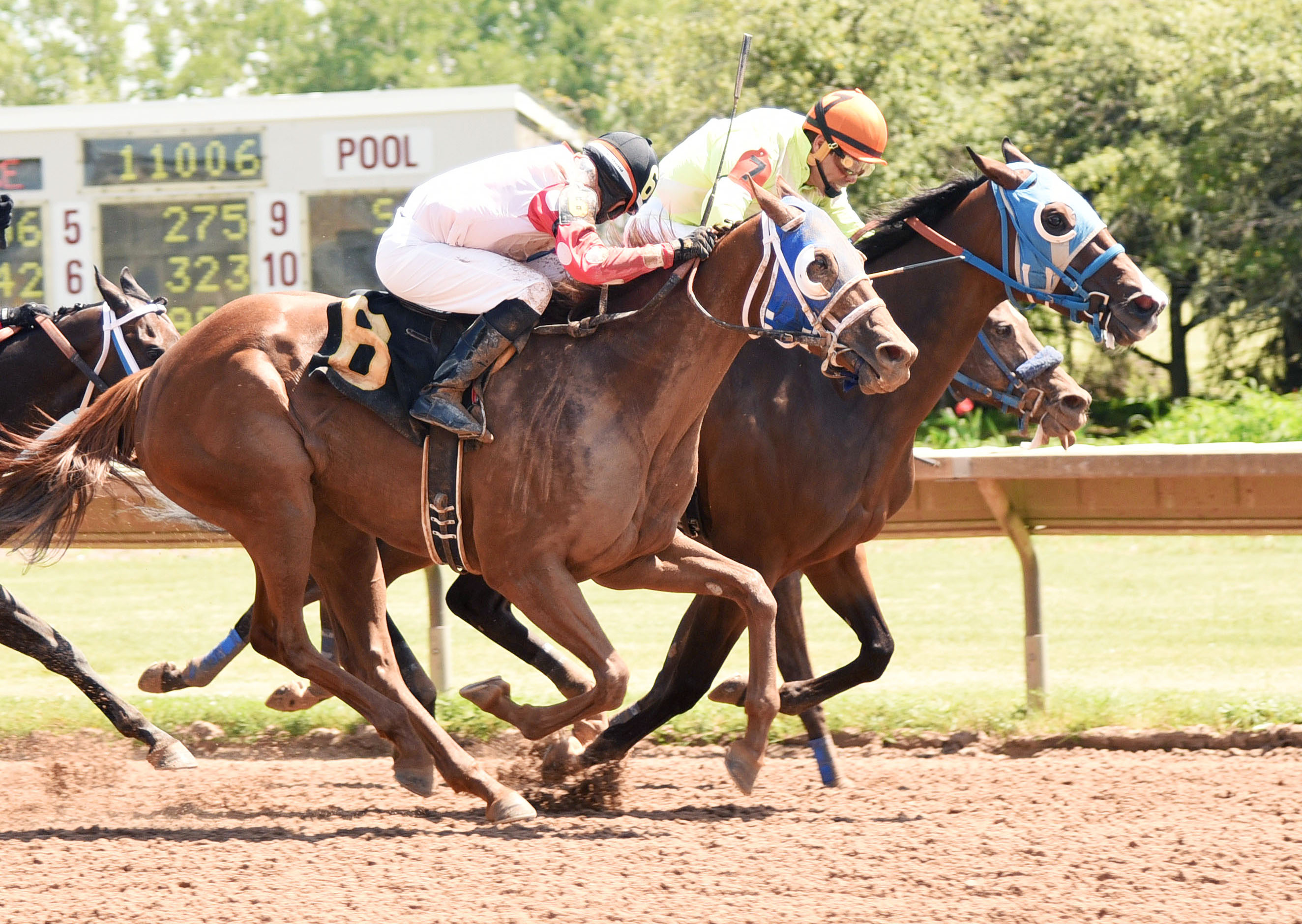 Atlantic's Smile wins the Arctic Queen