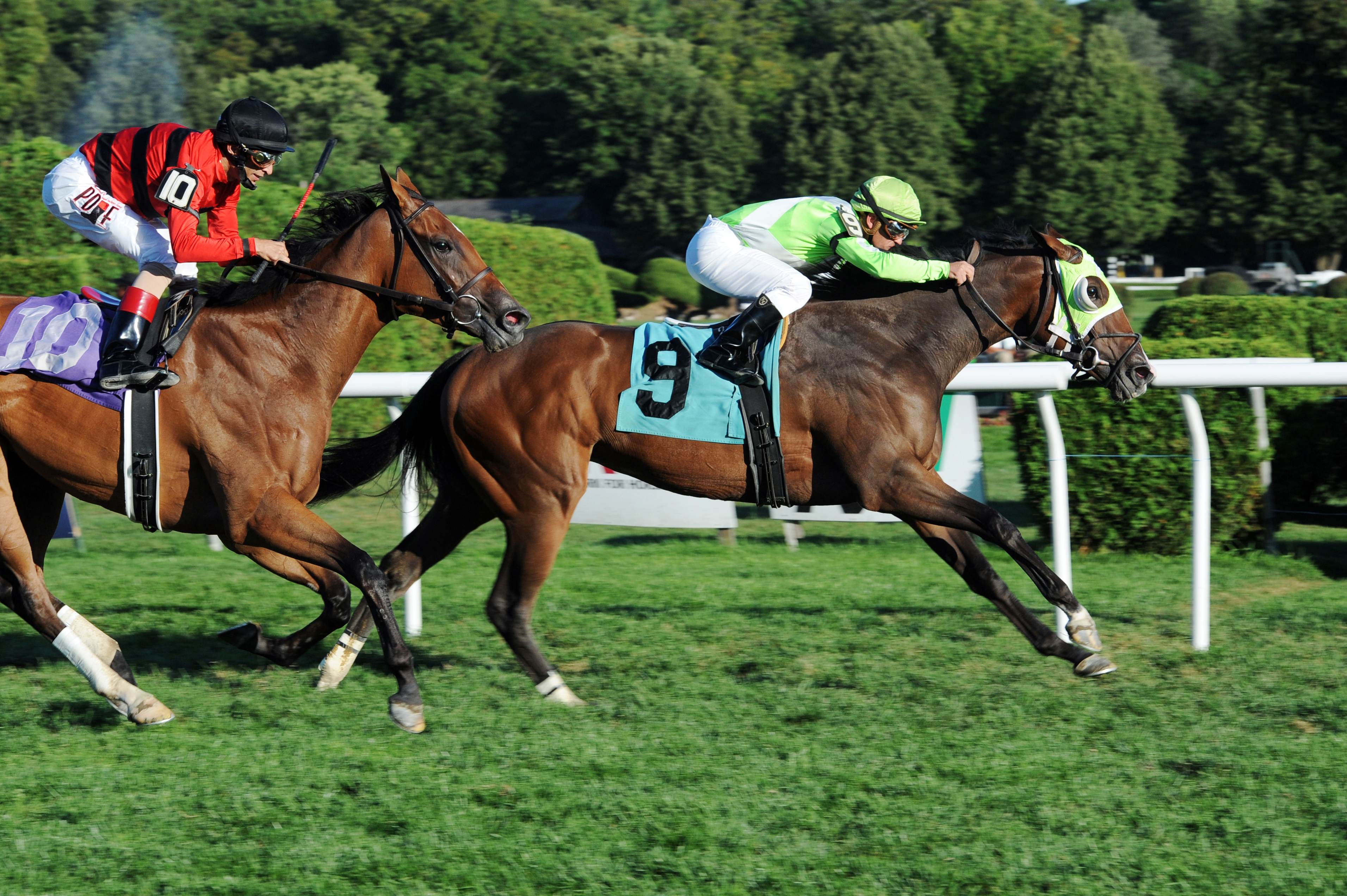 Atlantic's Smile wins a maiden race at Saratoga
