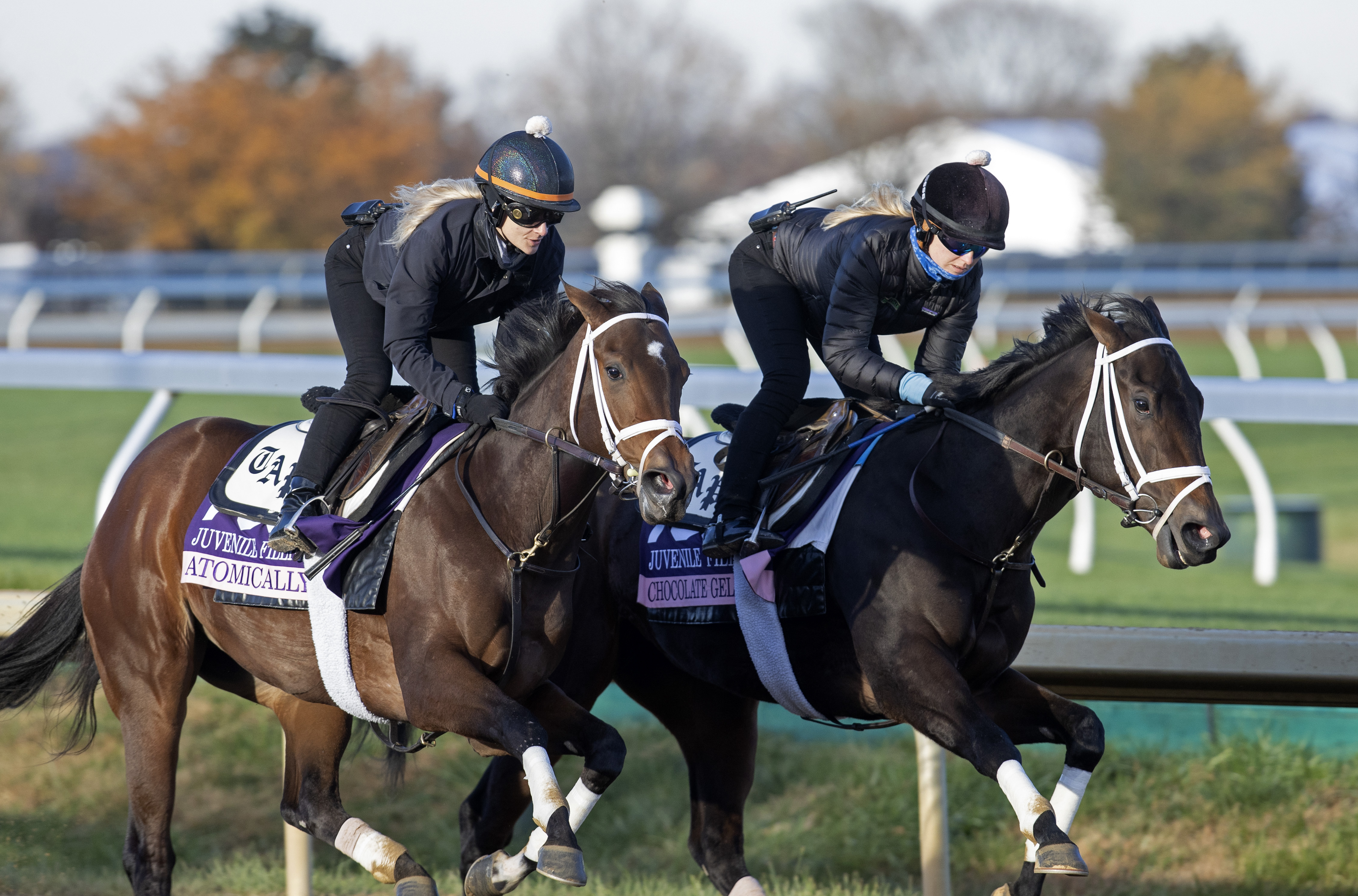 Atomically (left) and Chocolate Gelato work at Keeneland Oct 28 2022