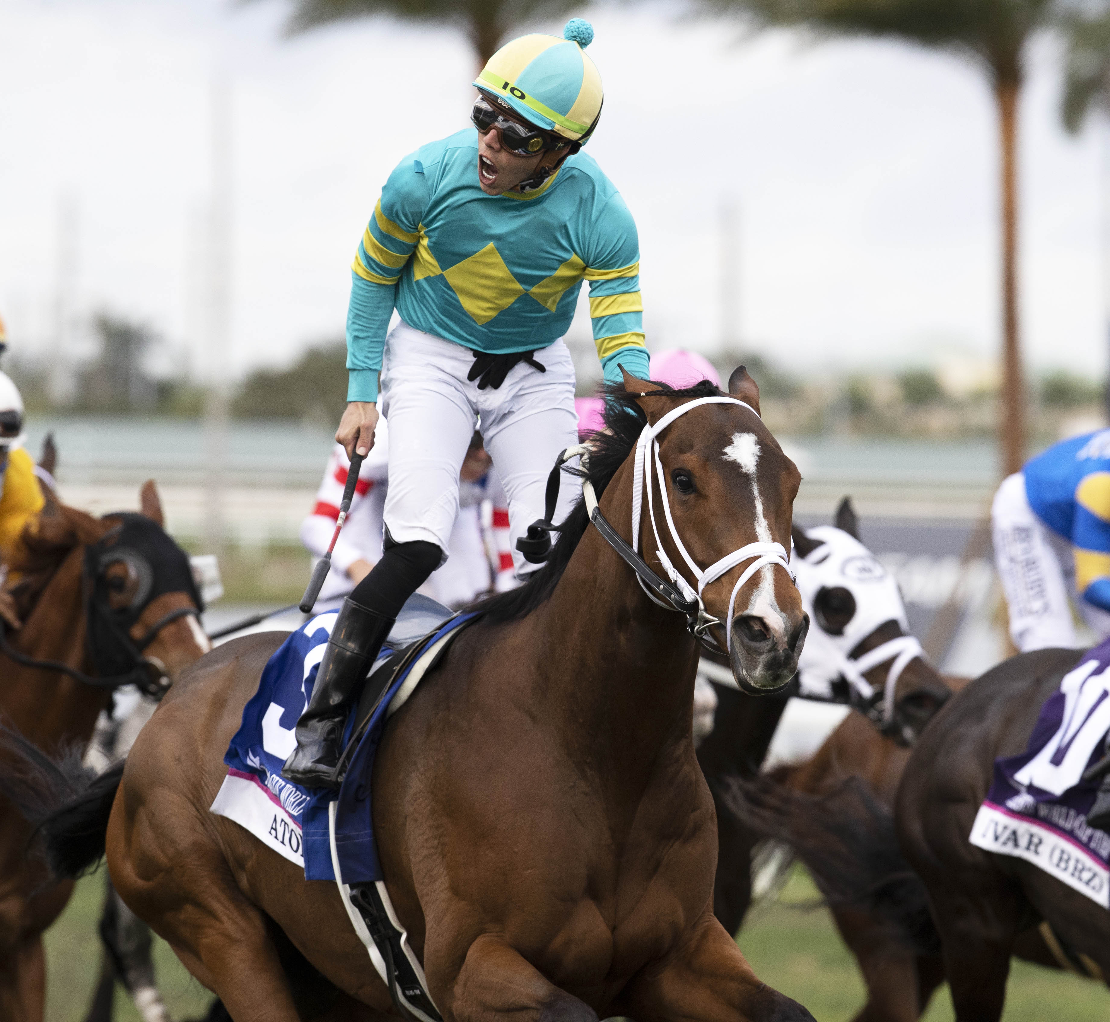 Atone, Pegasus Turf