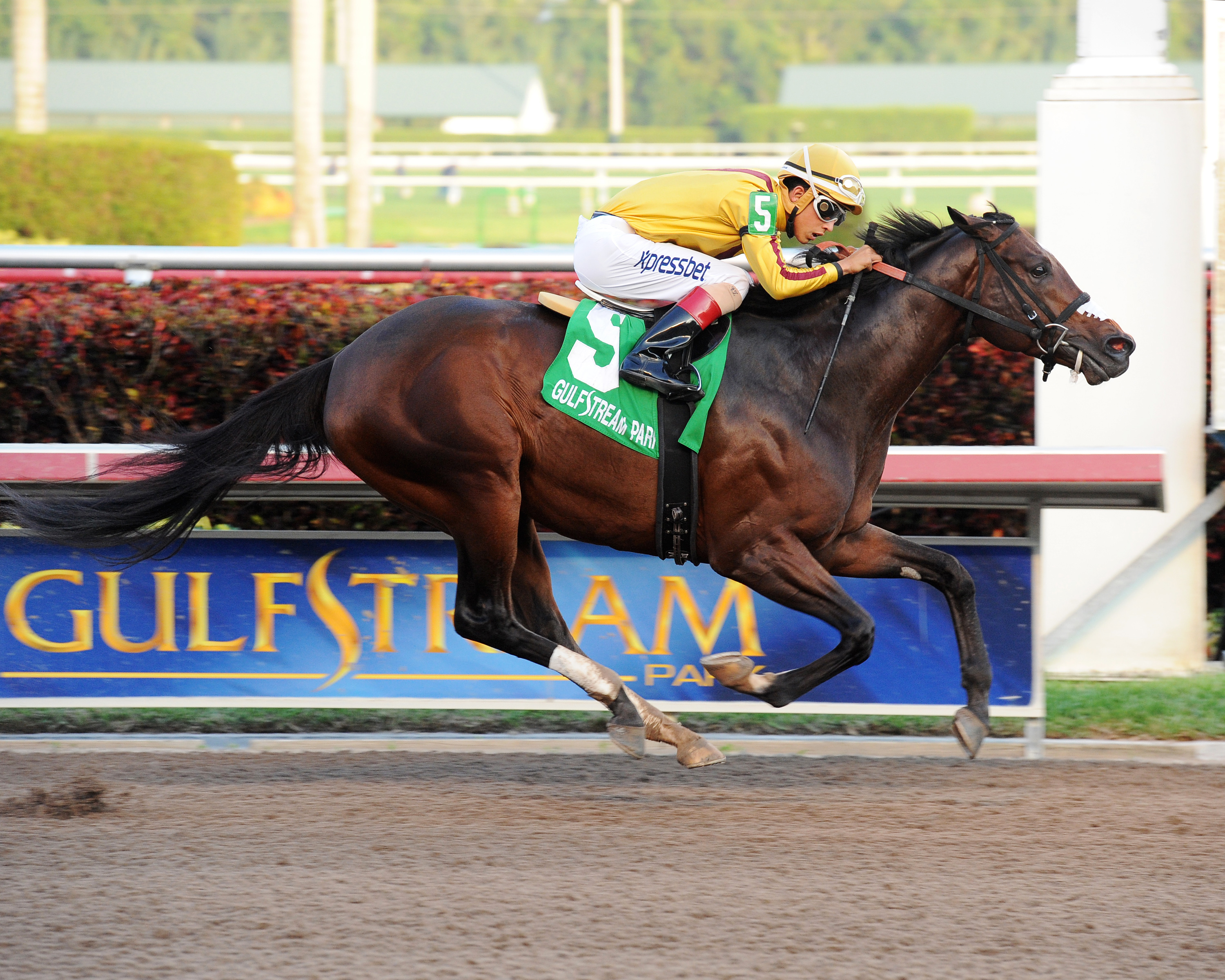 Atreides wins the Aventura Stakes