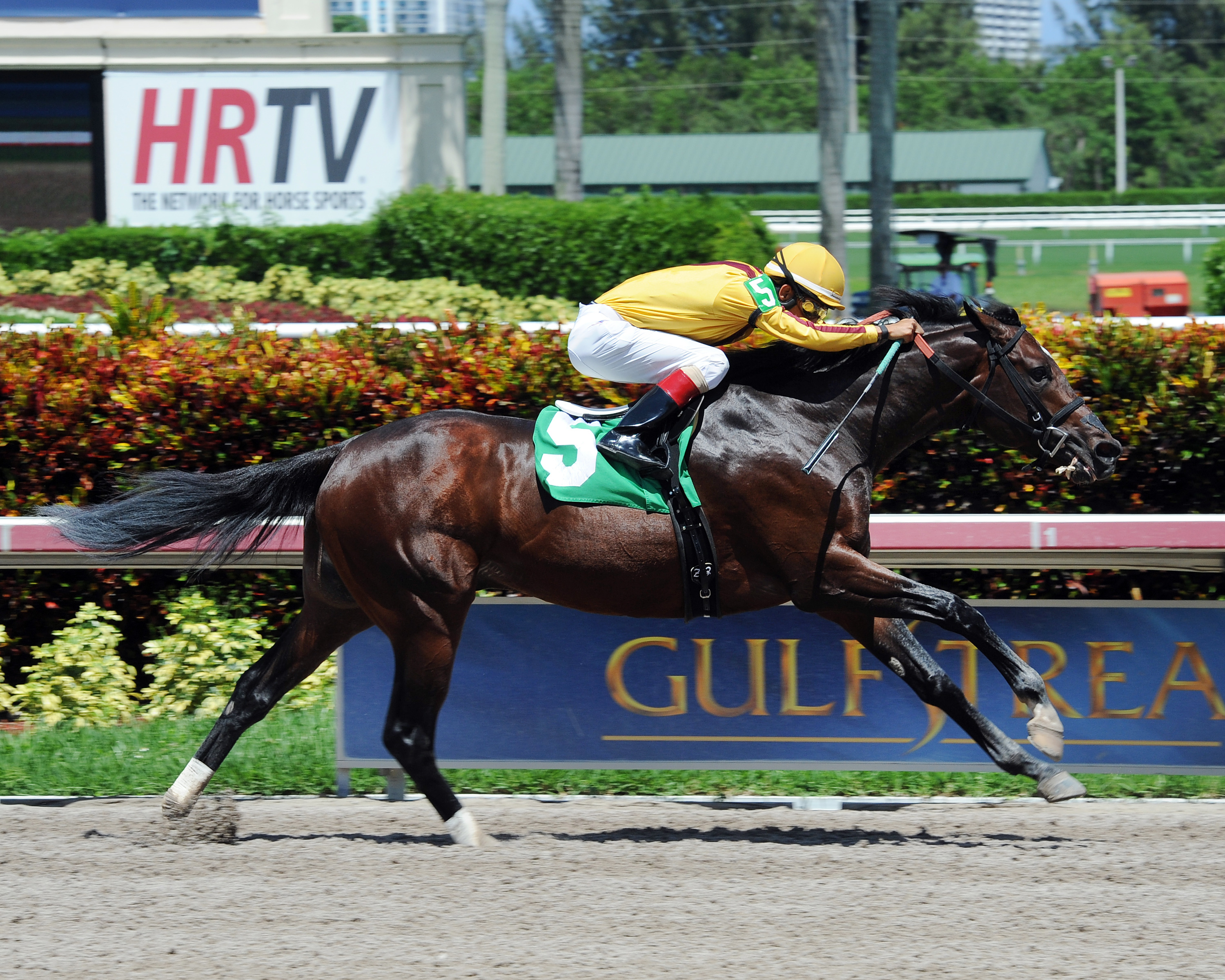 Atreides wins a maiden race