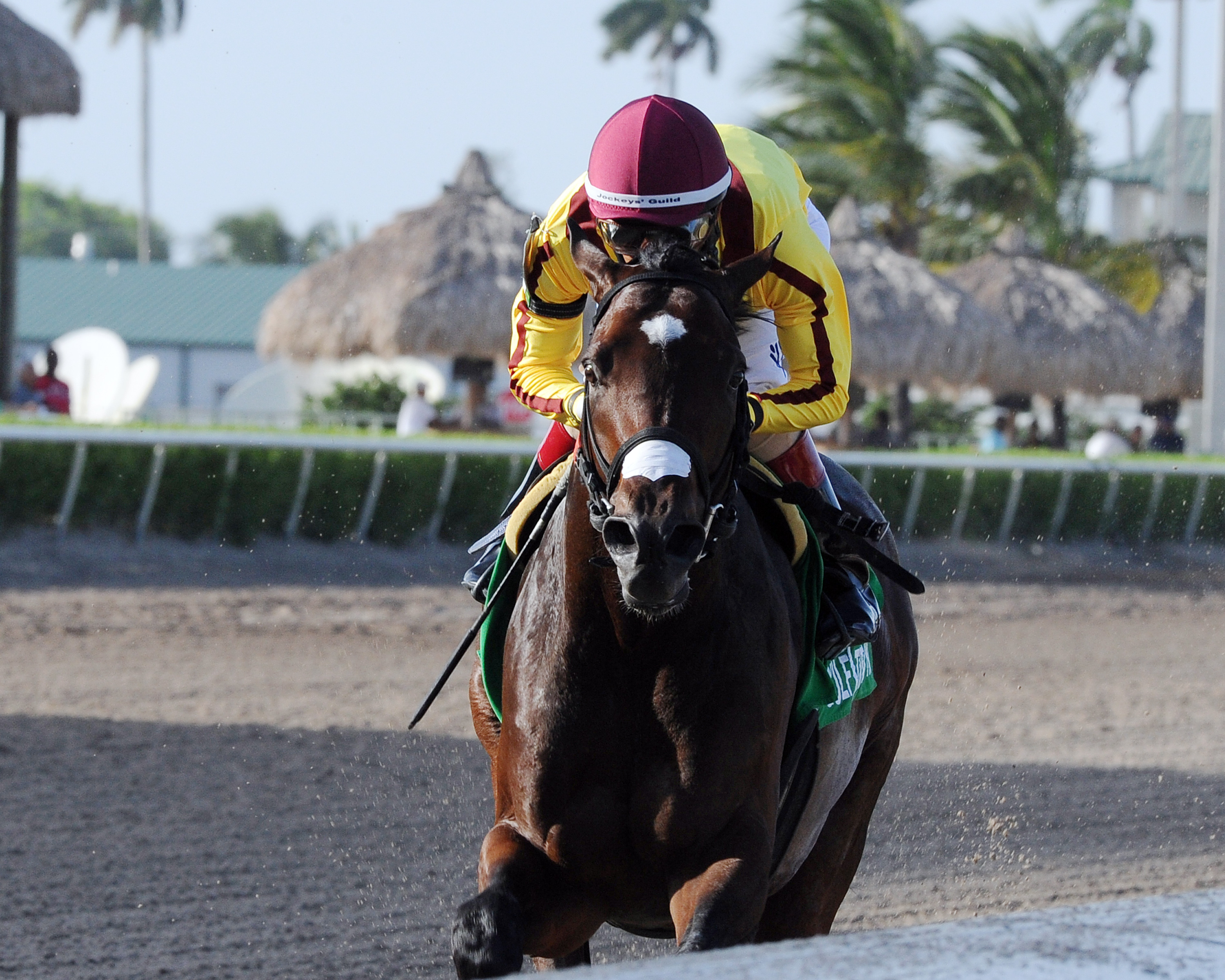 Atreides wins the Monarchos Stakes