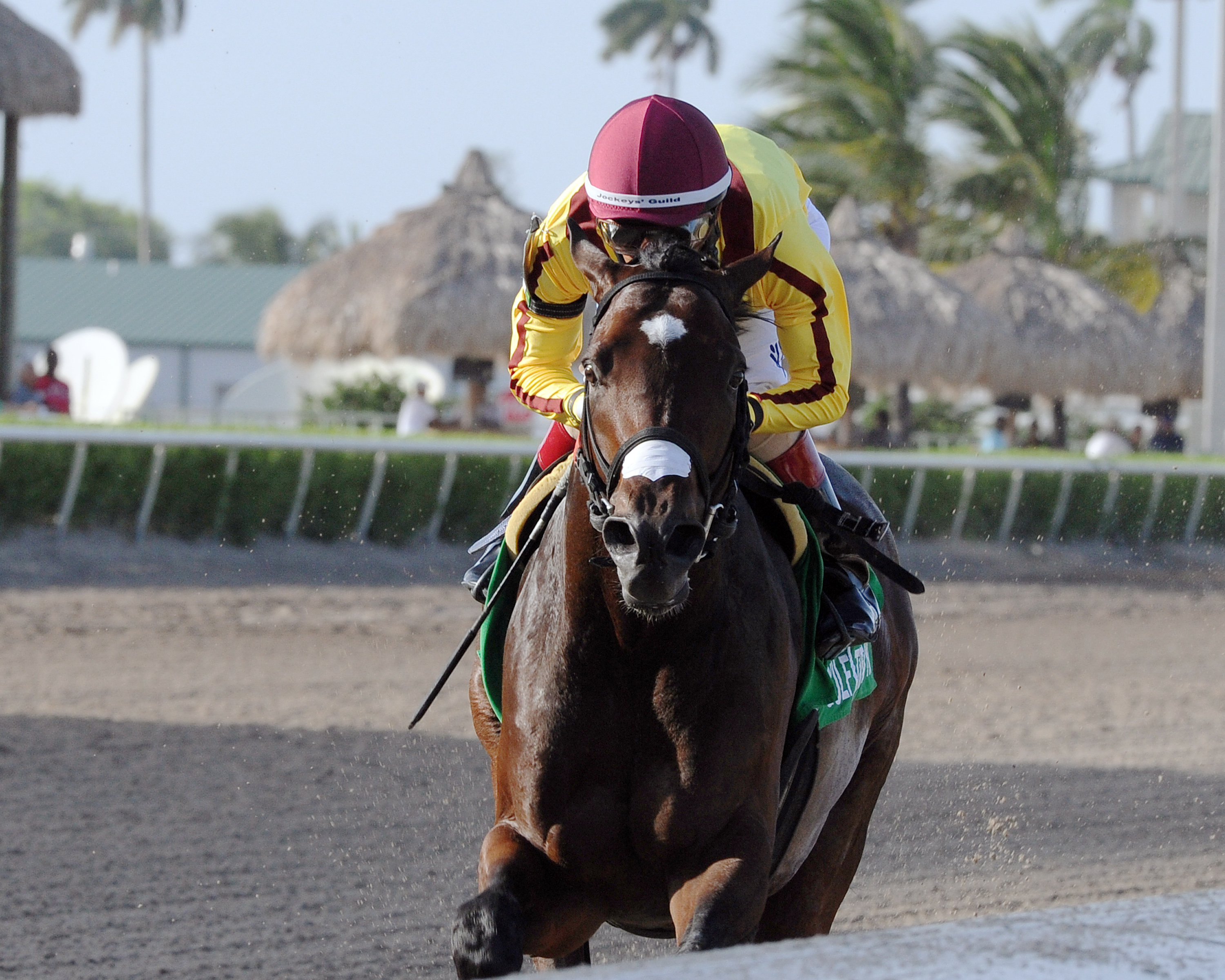 Atreides wins the Monarchos Stakes