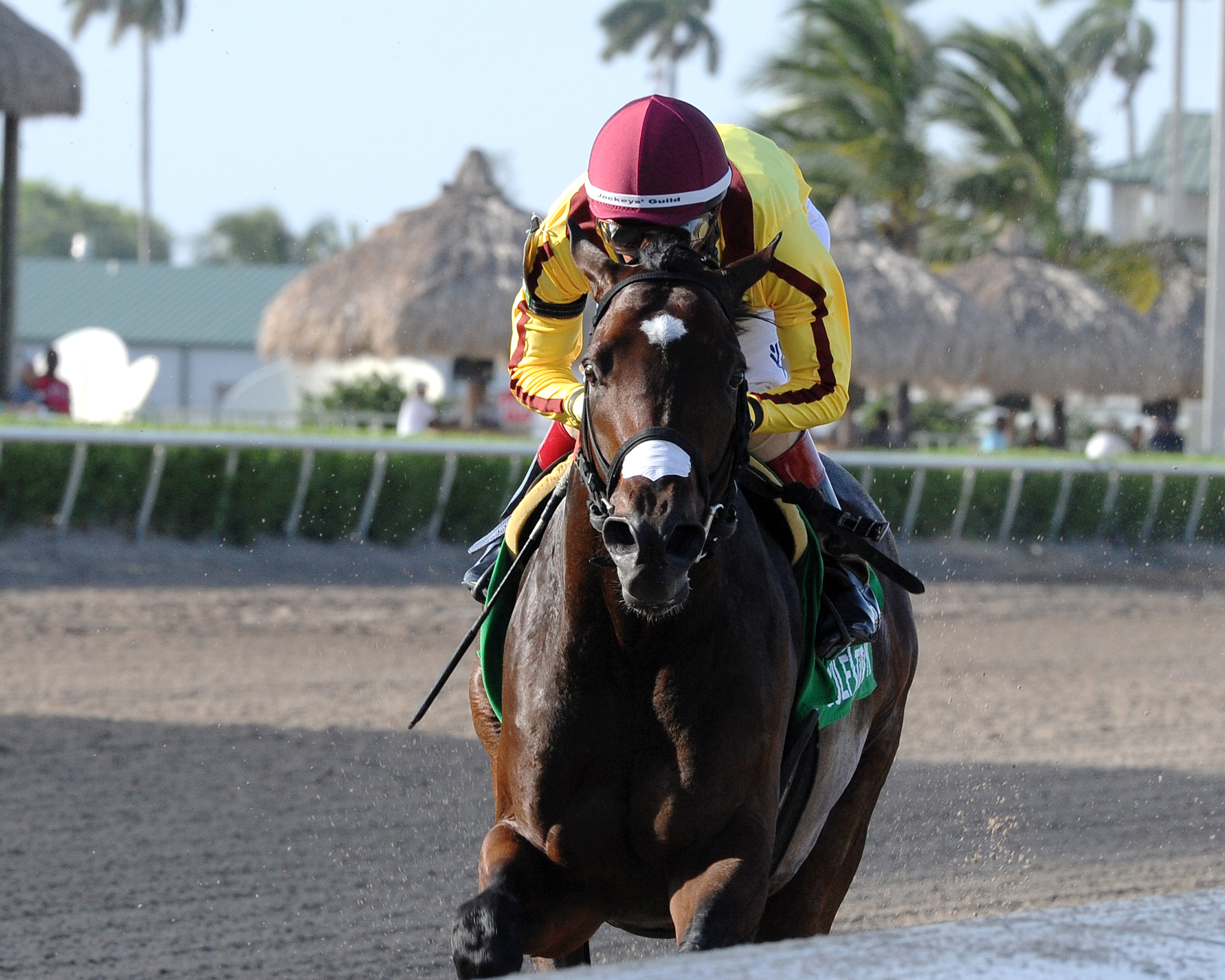Atreides wins the Monarchos Stakes