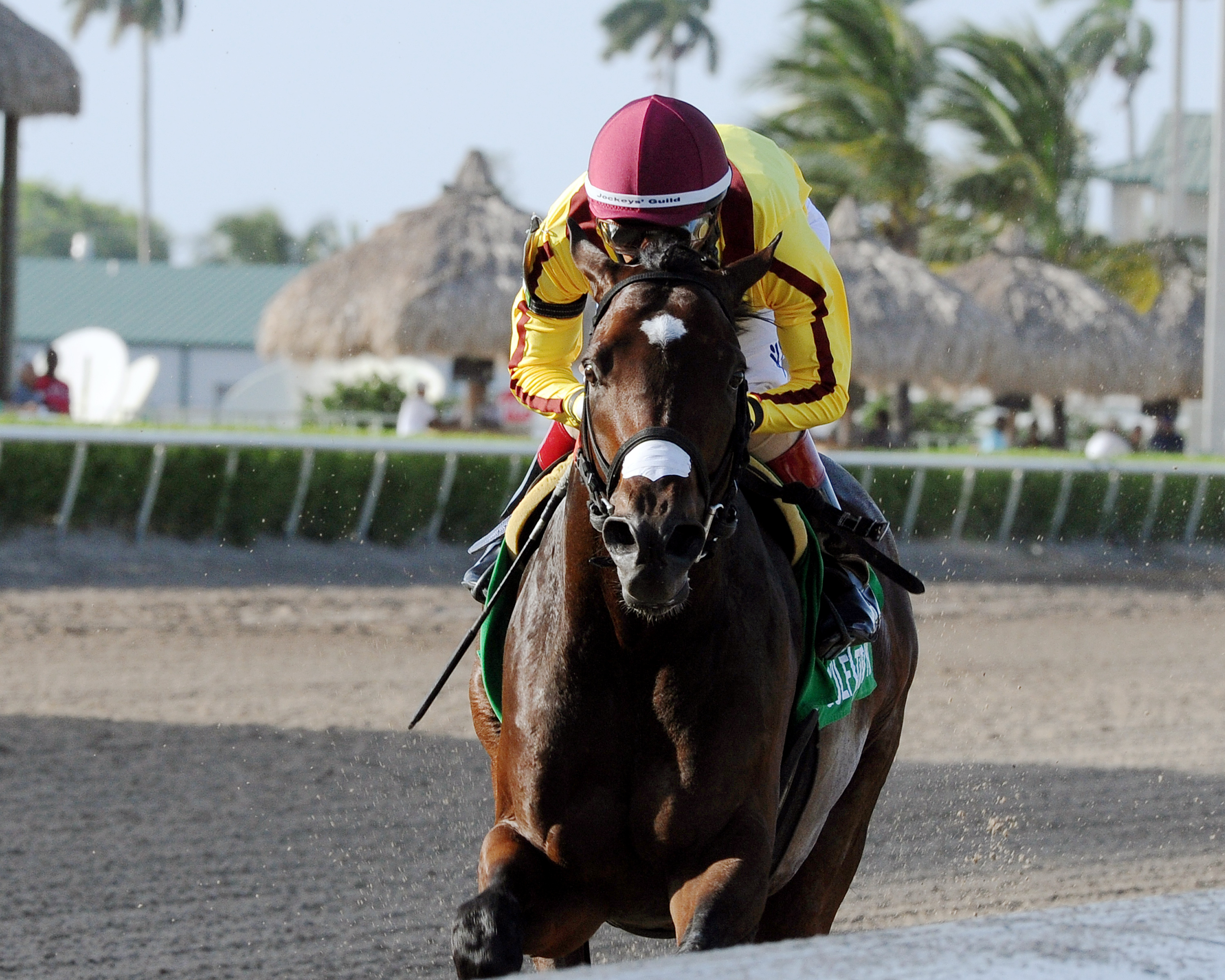 Atreides wins the Monarchos Stakes