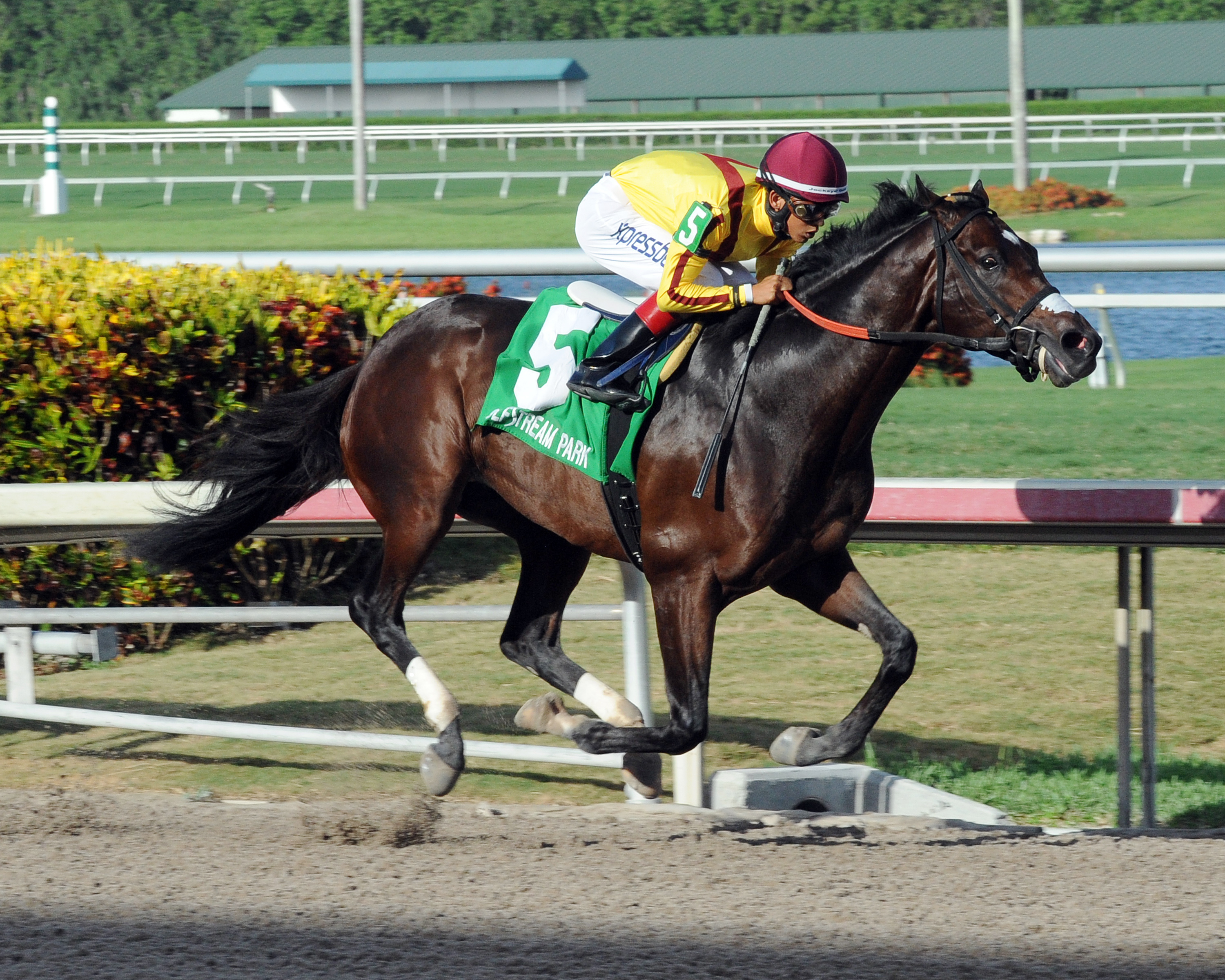 Atreides wins the Monarchos Stakes