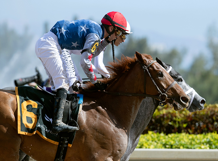 Attachment Rate finishes second in a Jan. 25 maiden at Gulfstream Park