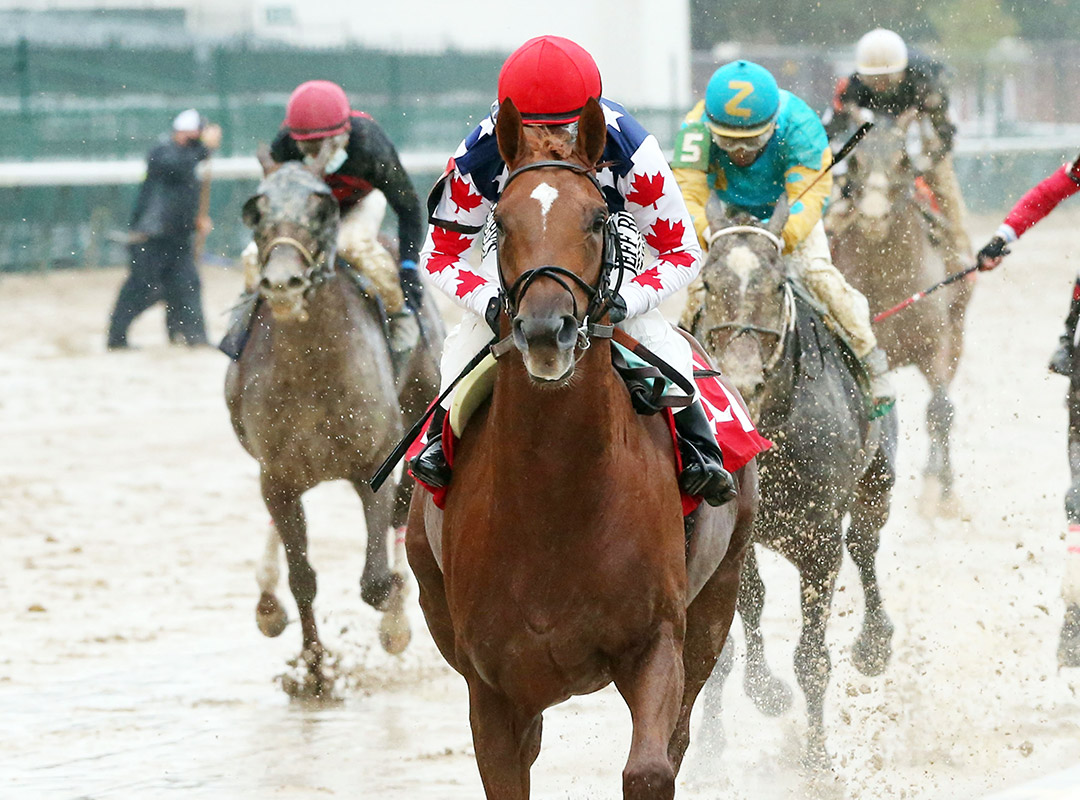Attachment Rate wins an Oct. 29 allowance at Churchill Downs