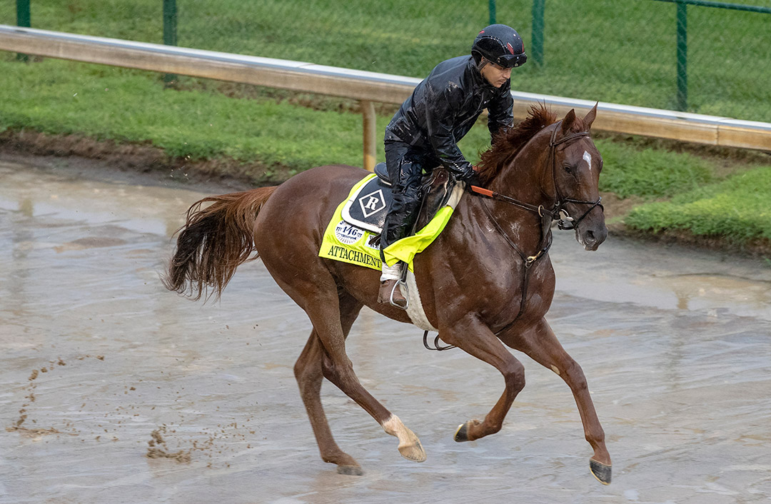 Attachment Rate trains at Churchill Downs on Sept. 3