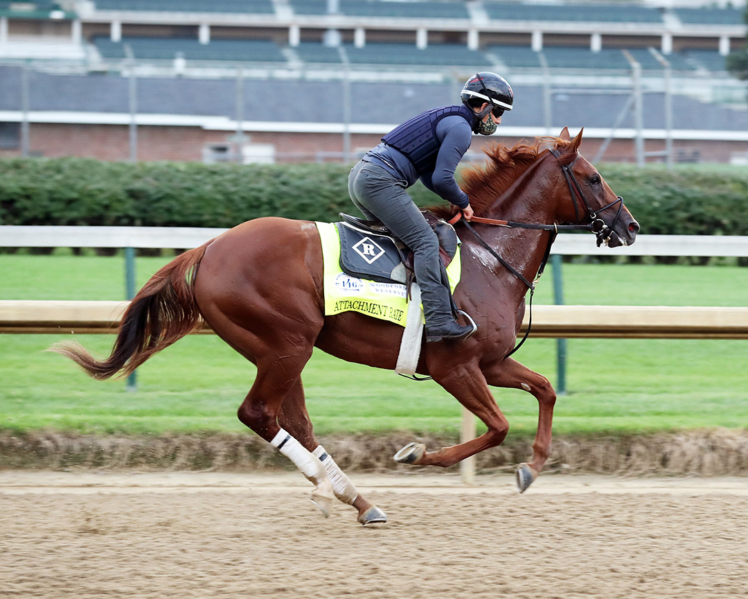 Attachment Rate trains at Churchill Downs on Aug. 27