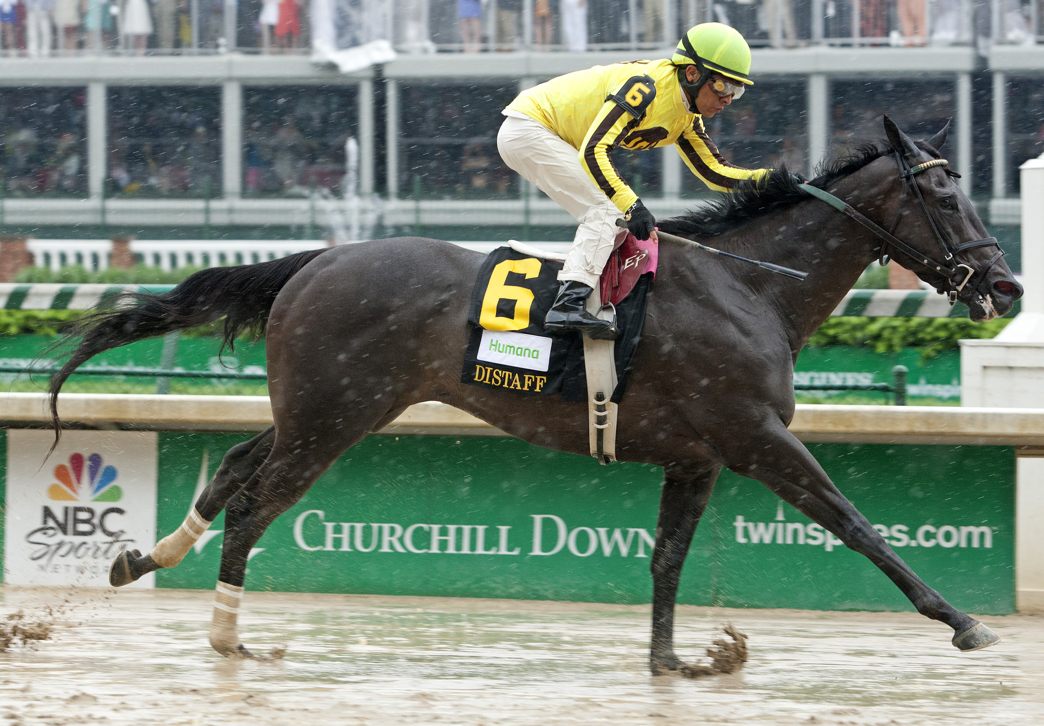 Aubby K, Humana Distaff