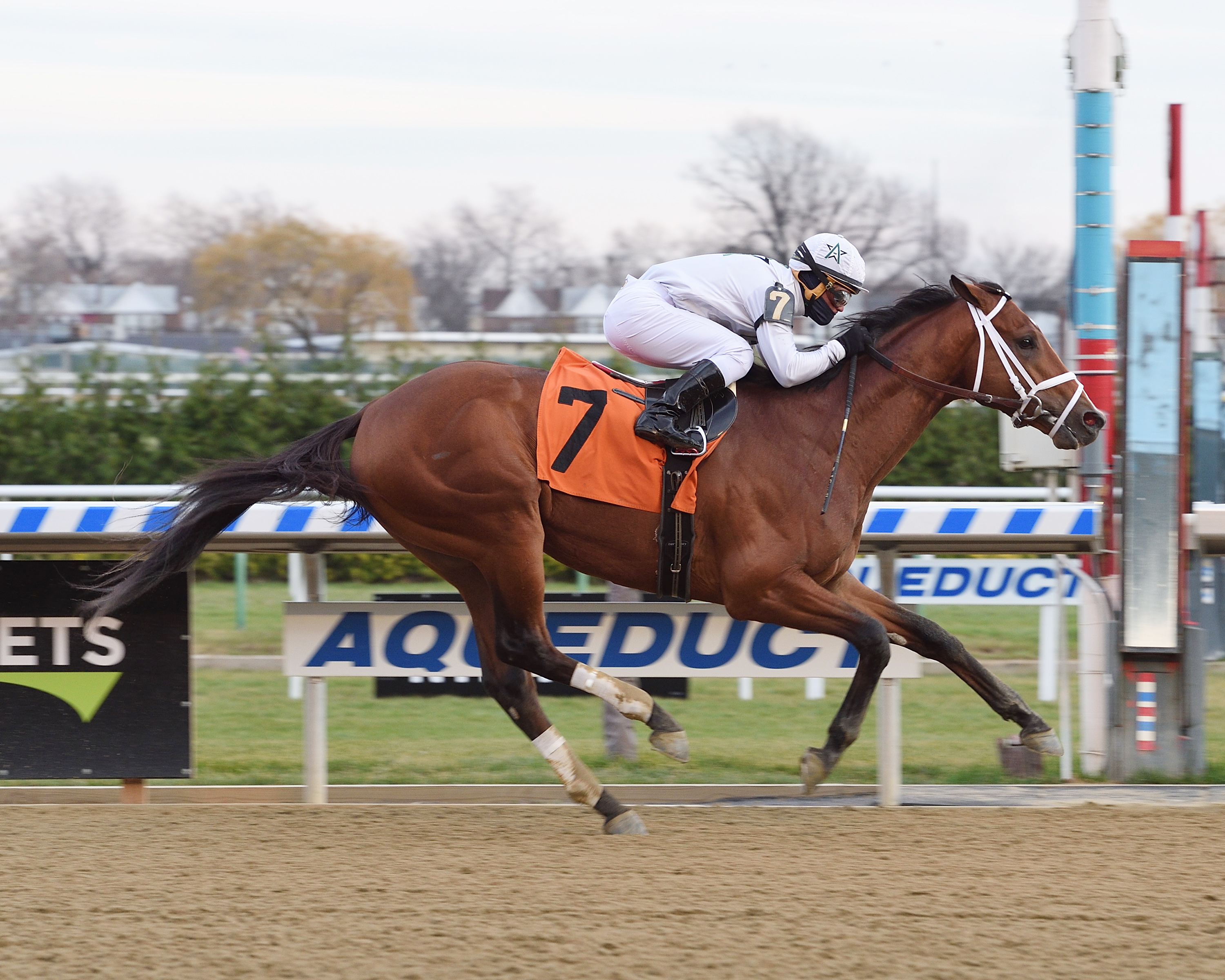 Audible wins a Dec. 6 allowance race