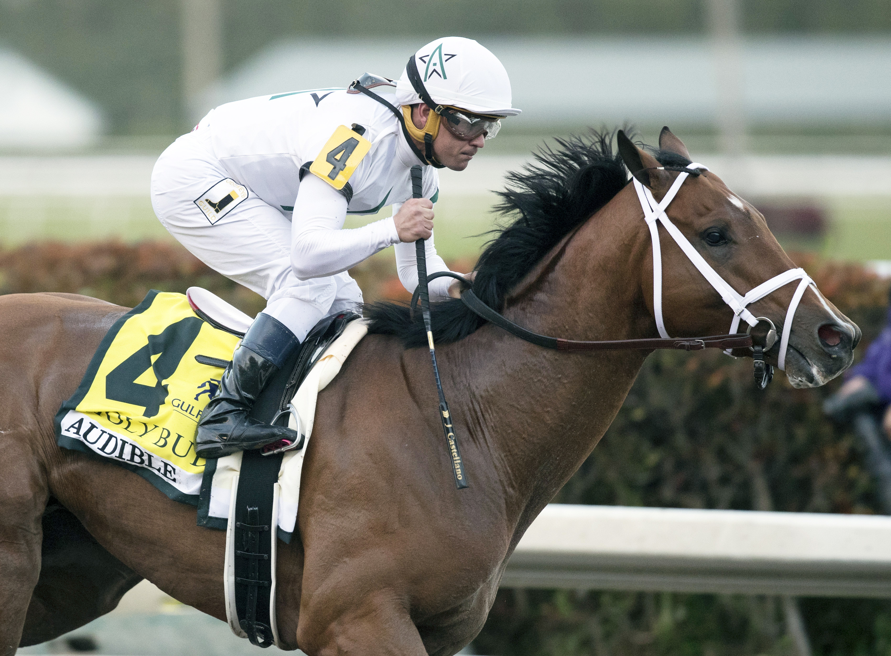 Castellano to ride Audible in the Kentucky Derby