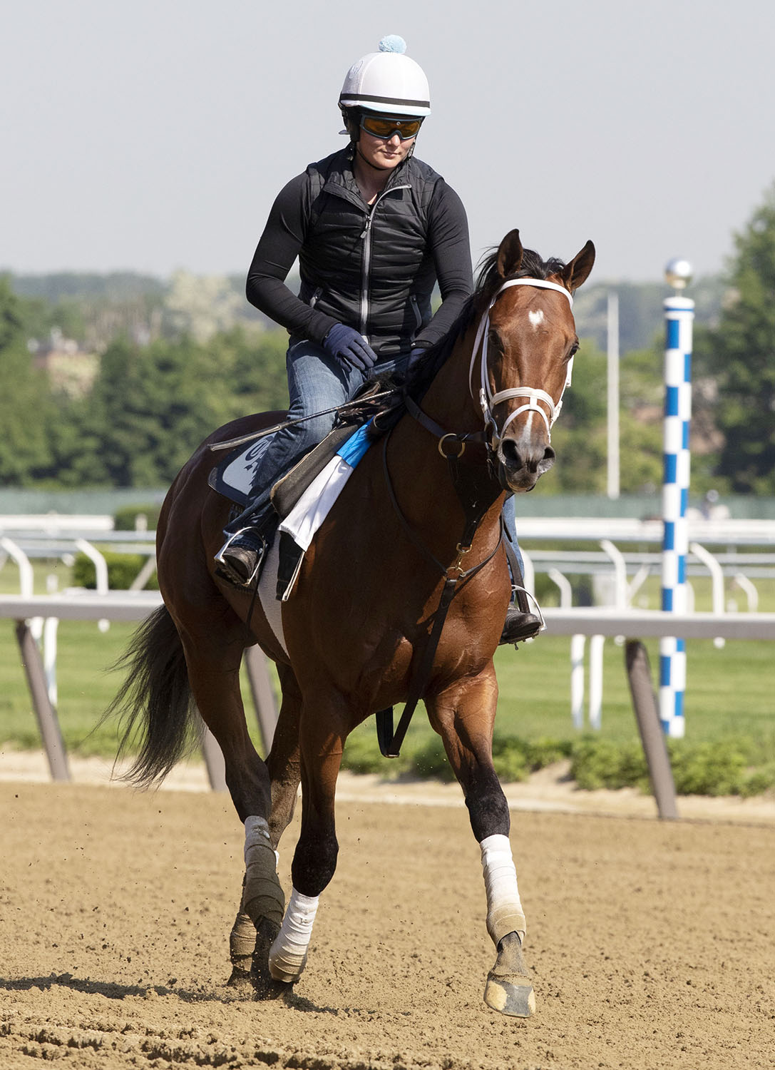 Audible at Belmont Park on May 25