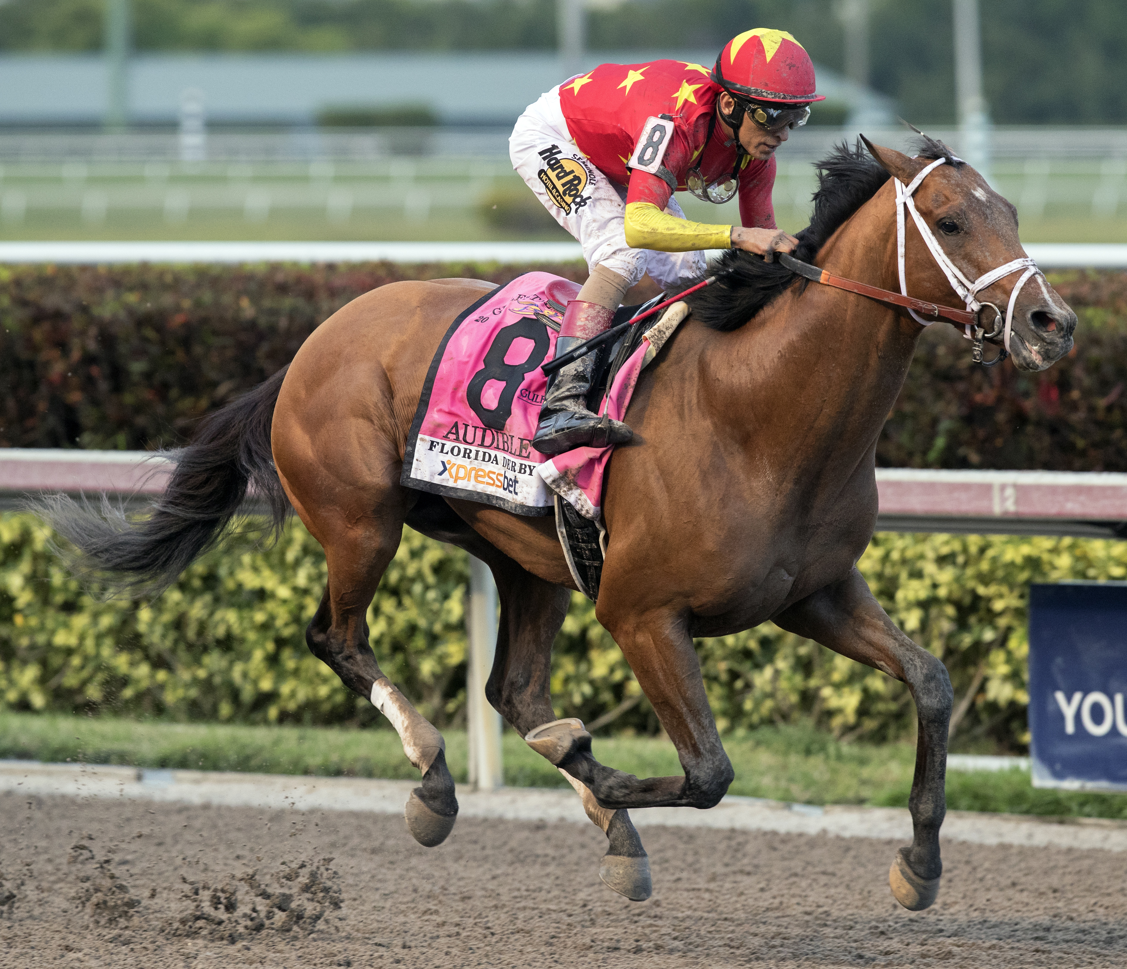 Audible wins the 2018 Florida Derby