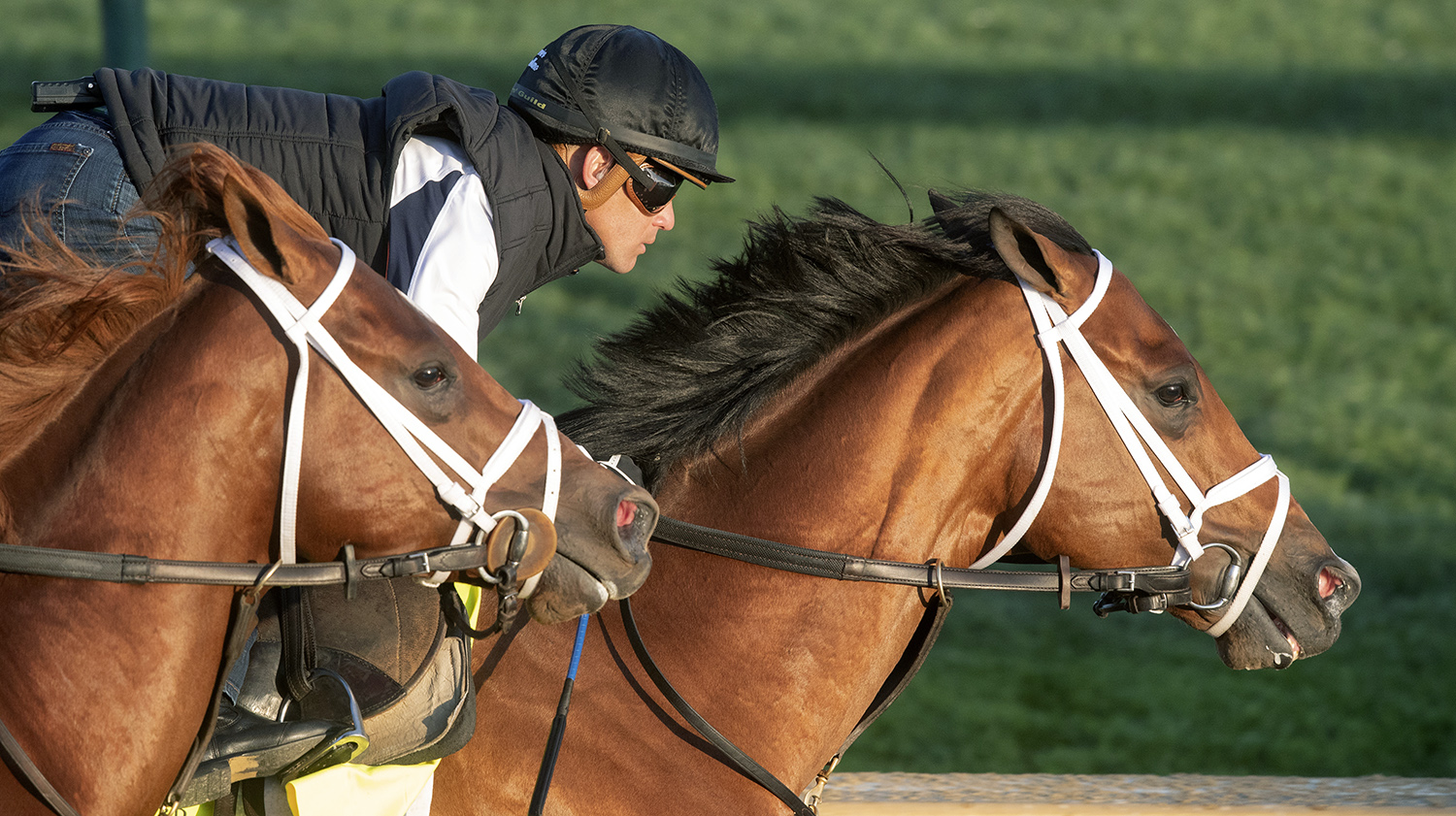 Audible under Javier Castellano trains at Churchill on April 27