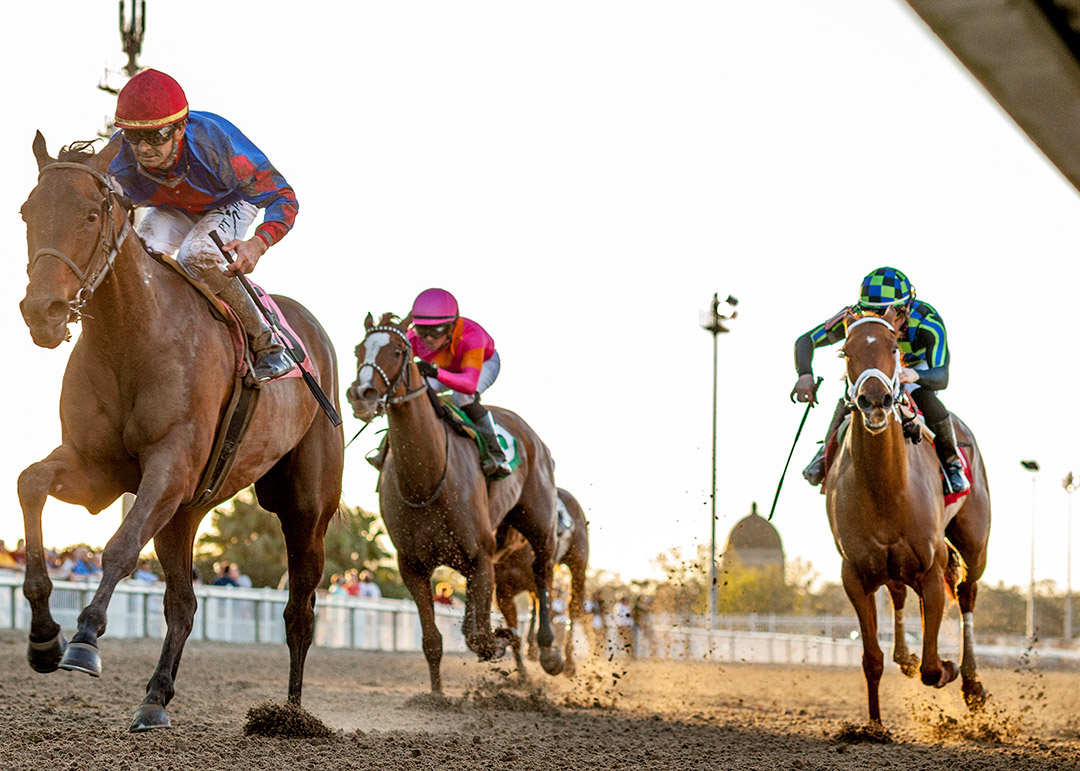 Audrey's Time wins the 2021 Spanky Broussard Memorial Stakes at Fair Grounds