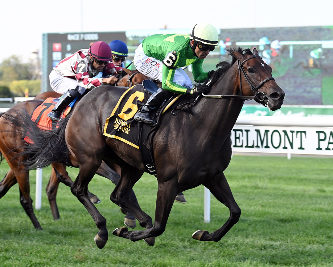 Aug Lutes wins the 2021 Glen Cove Stakes at Belmont Park