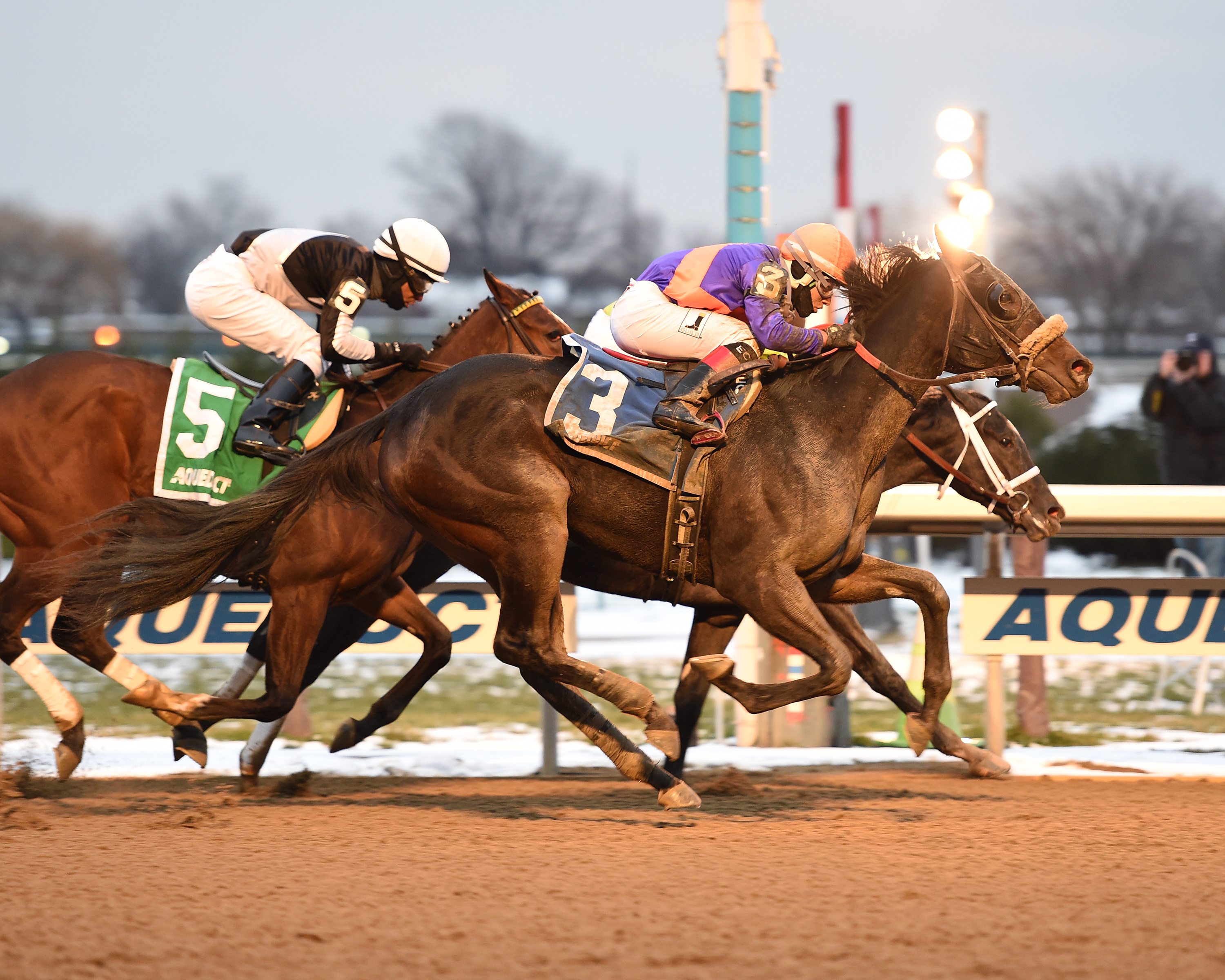Aunt Babe wins the 2017 NYSS Fifth Avenue
