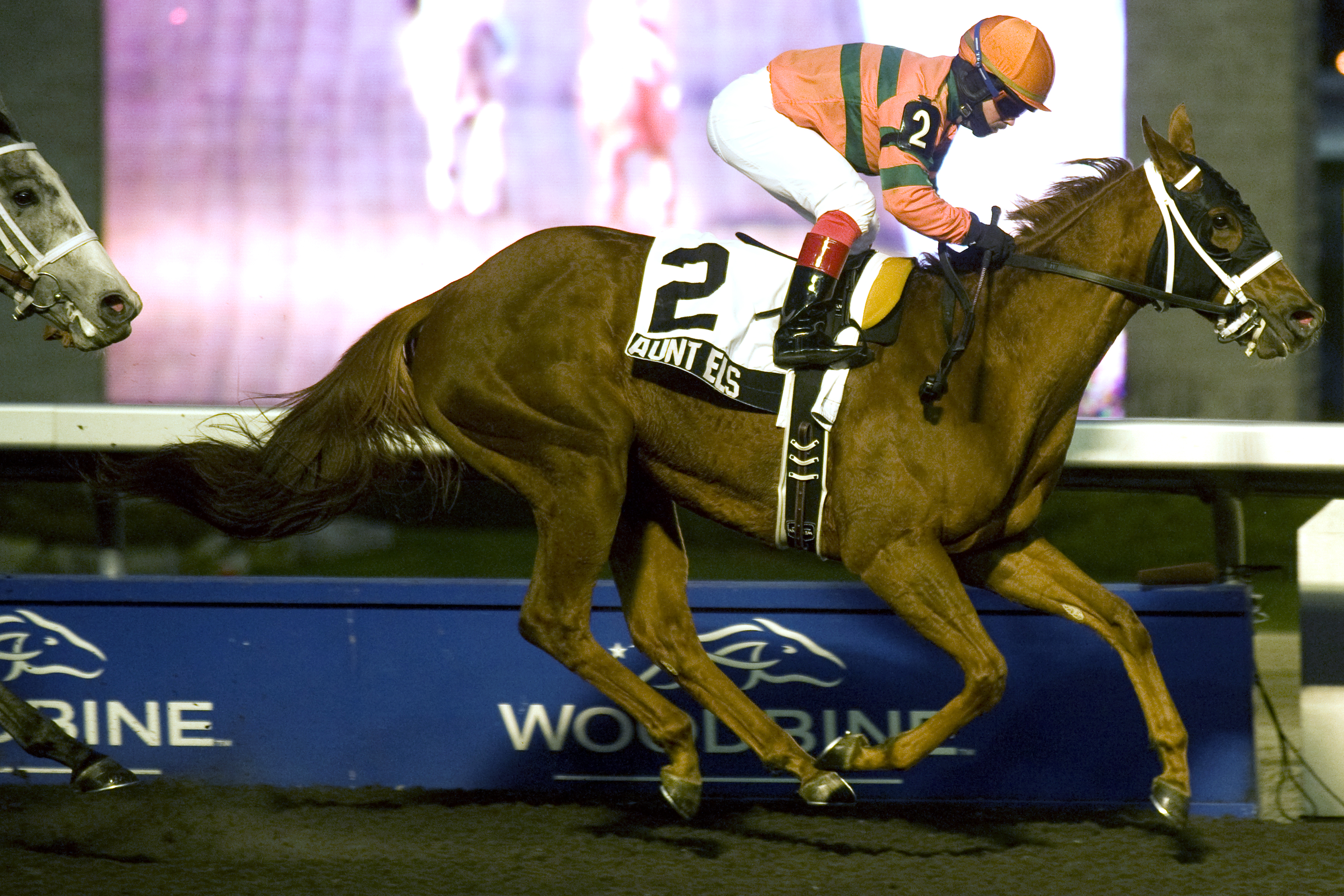 Aunt Els, Ontario Lassie Stakes