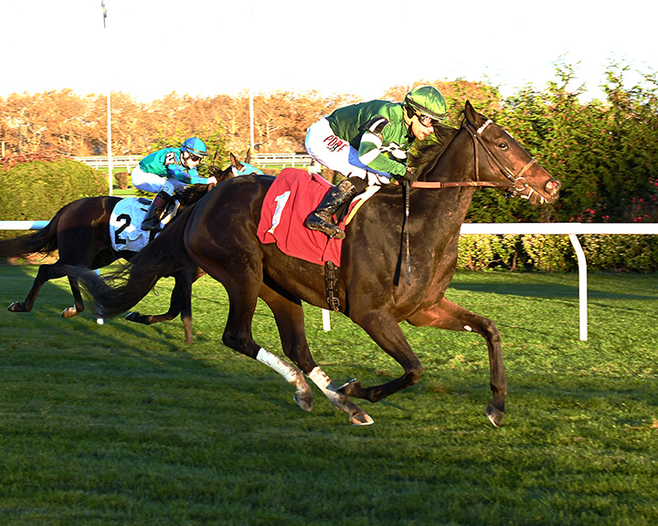Aunt Hattie wins a Nov. 3 maiden race