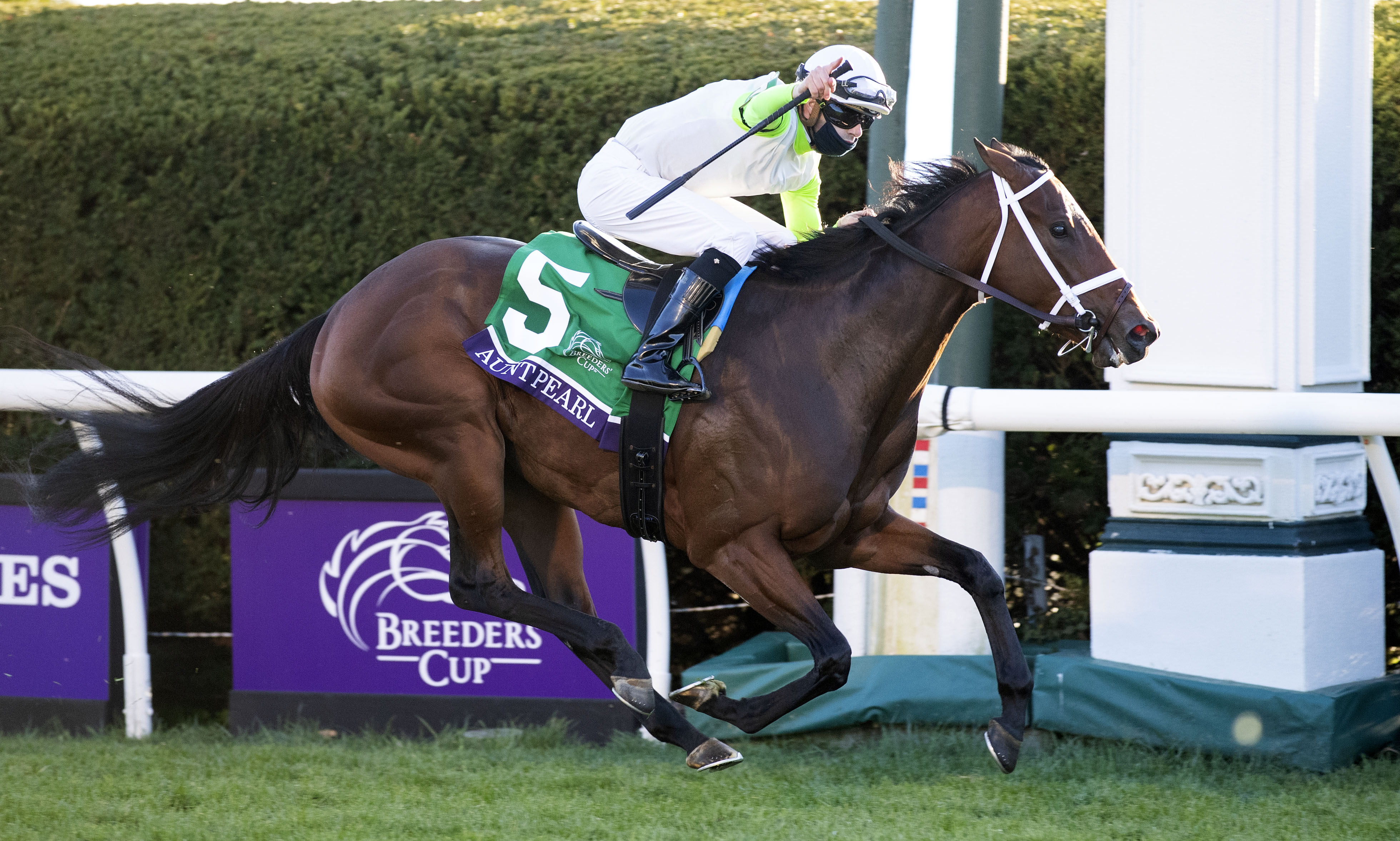 Aunt Pearl, BC Juvenile Fillies Turf