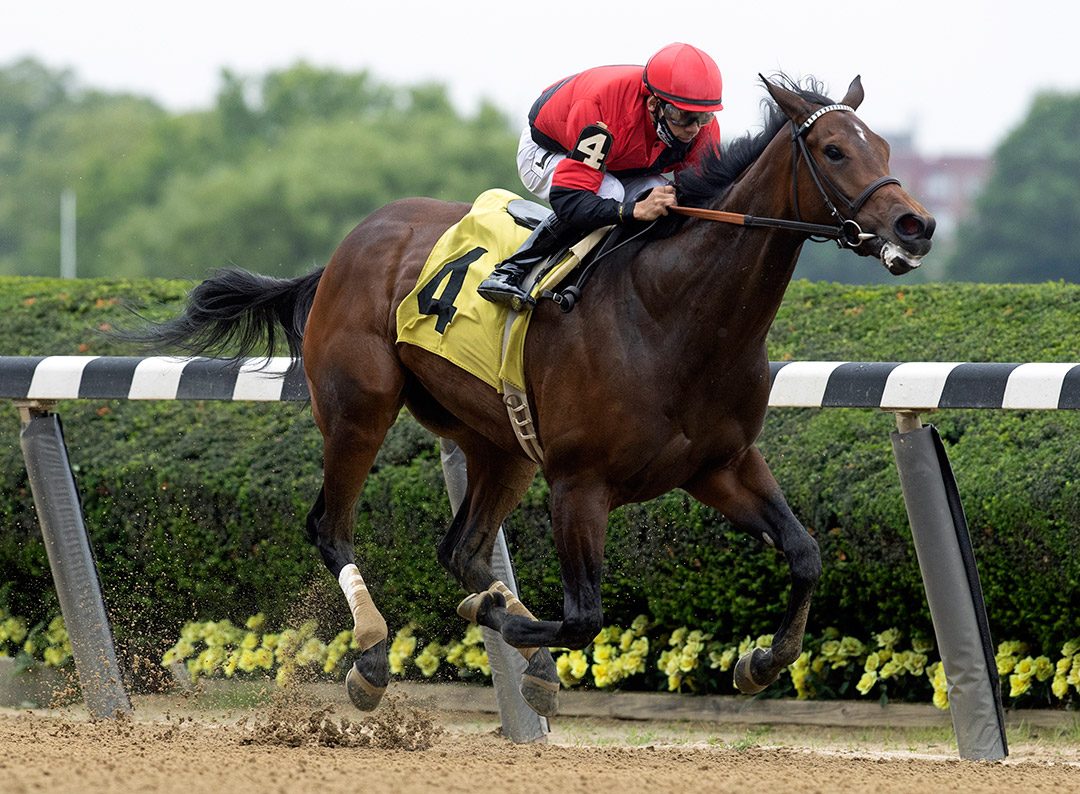 Aunt Kat wins a June 4 optional claiming race at Belmont Park