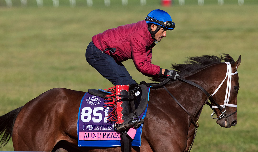 Aunt Pearl trains at Keeneland on Nov. 3
