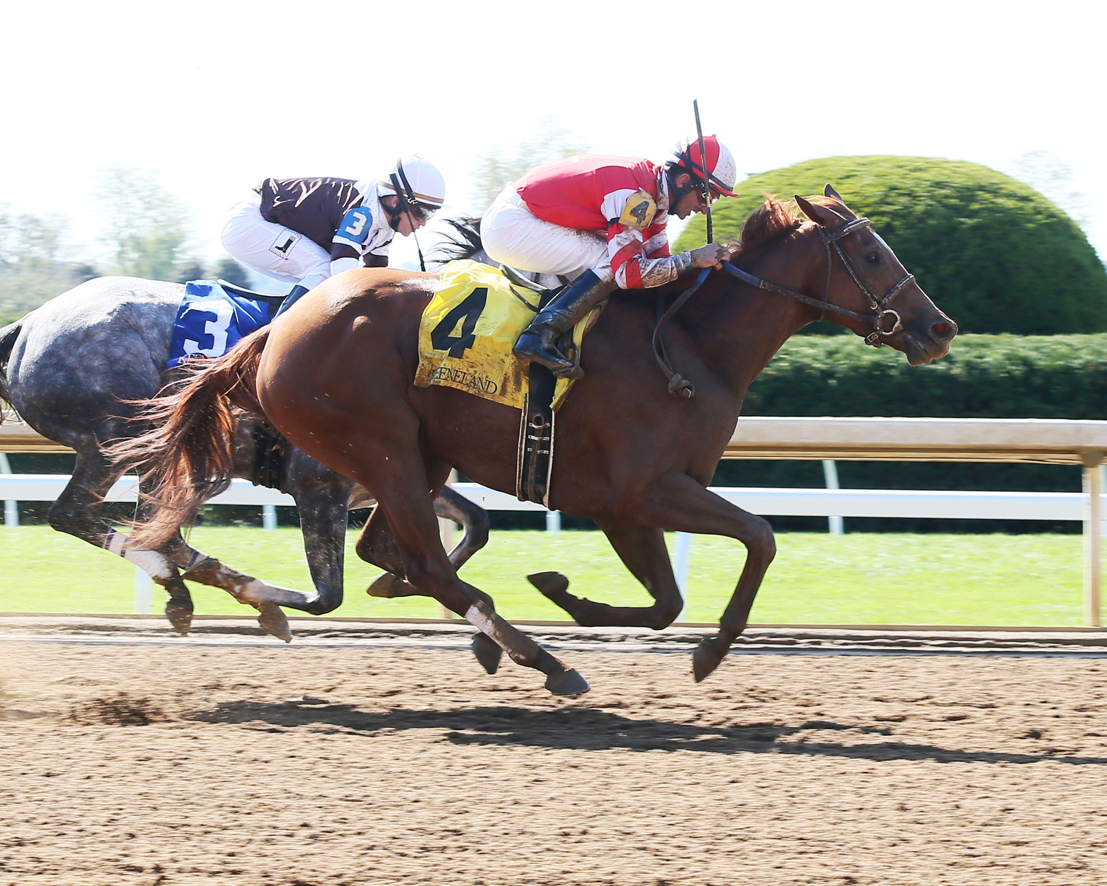 Aunties the One wins a maiden race on Oct. 19
