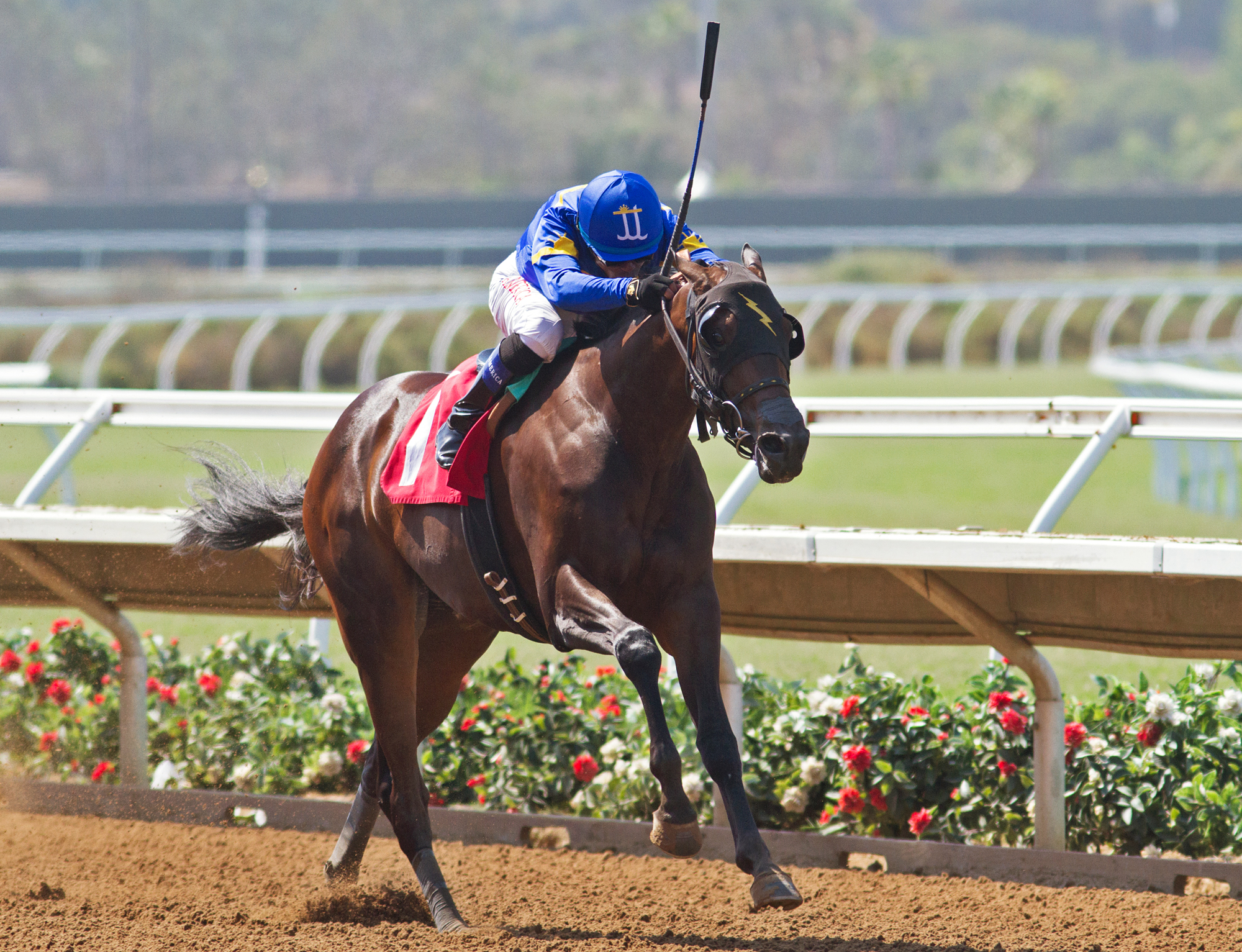Auntjenn wins a maiden race