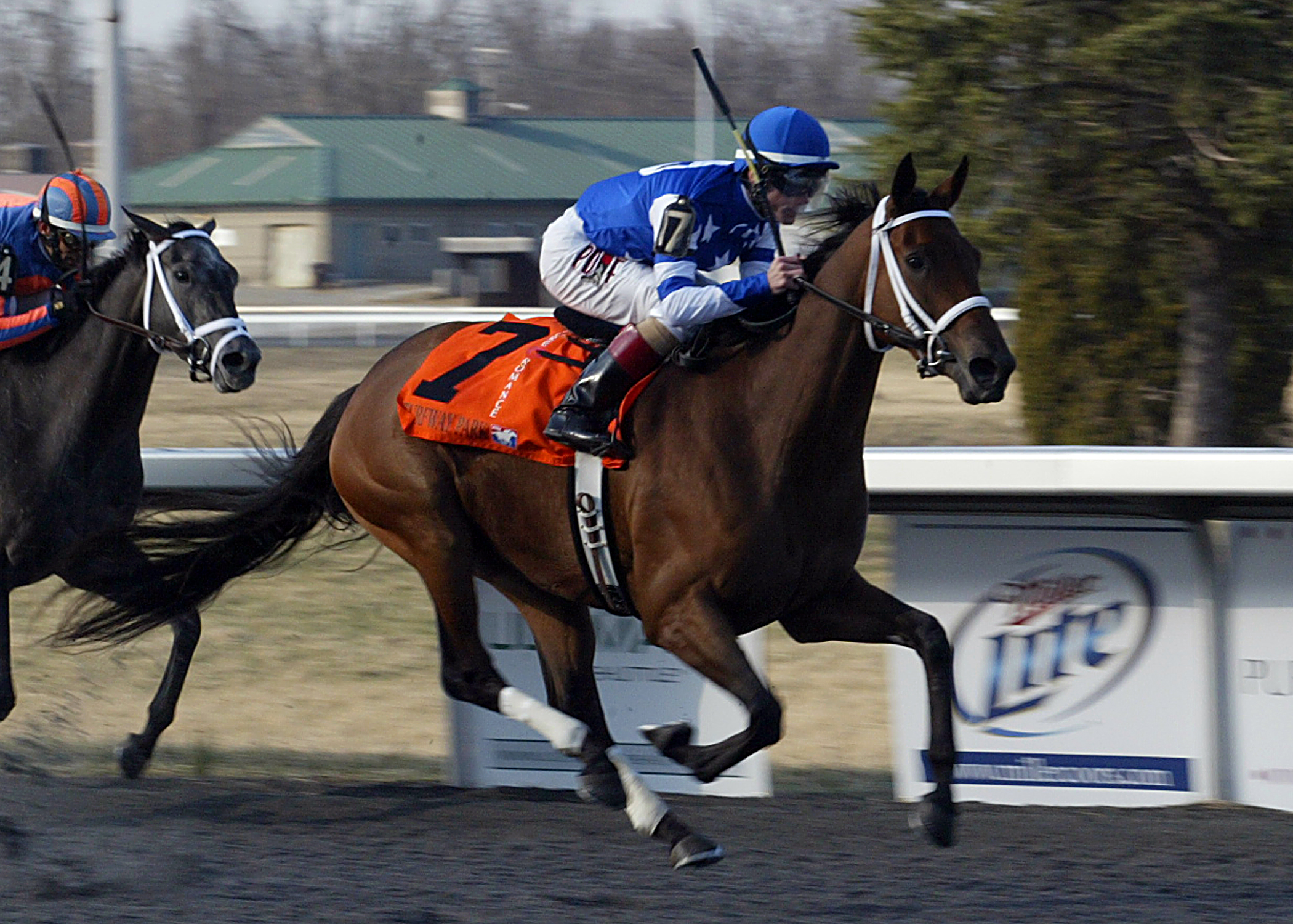 Aurelia's Belle 3-22-2014