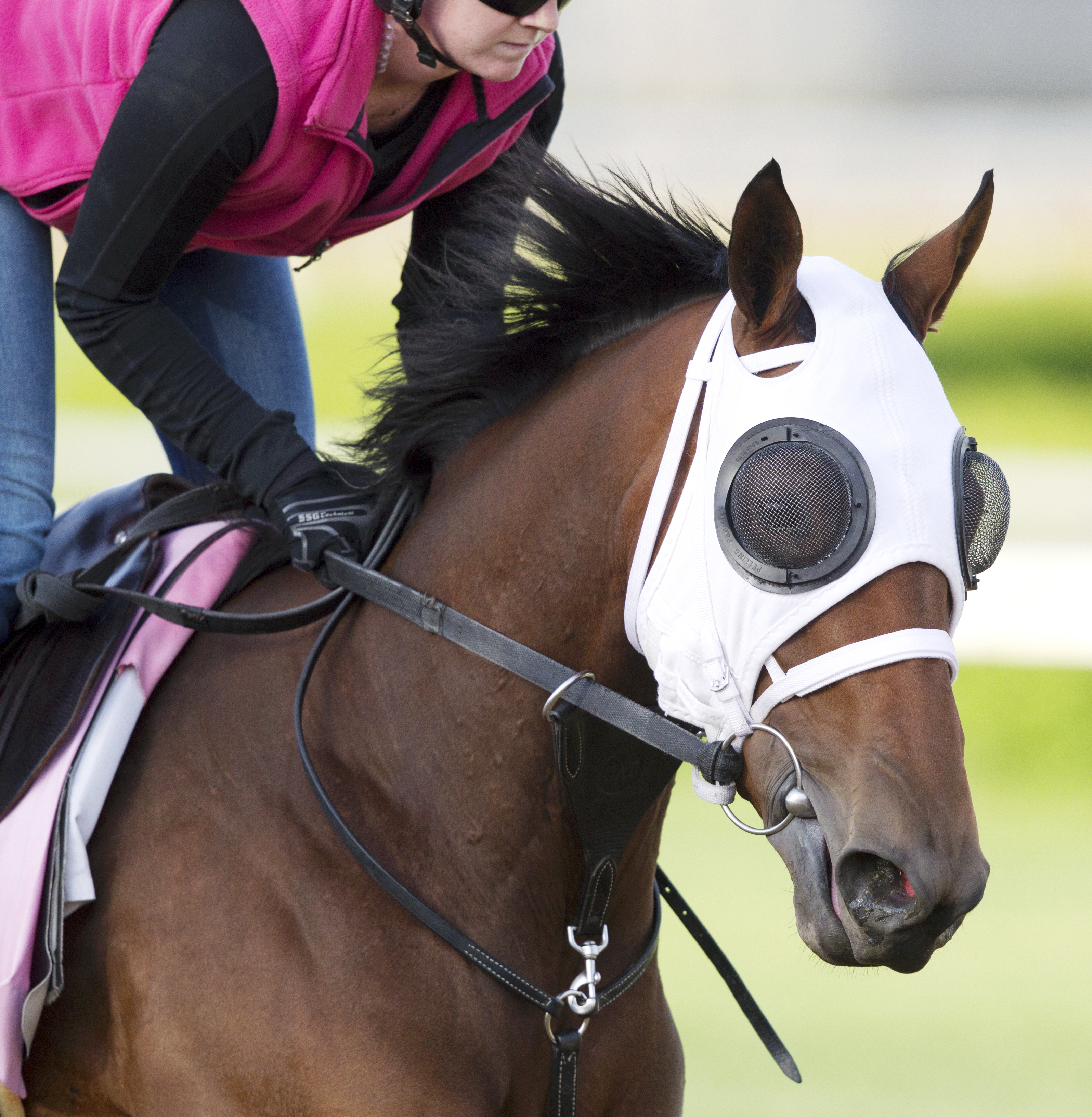 Aurelia's Belle