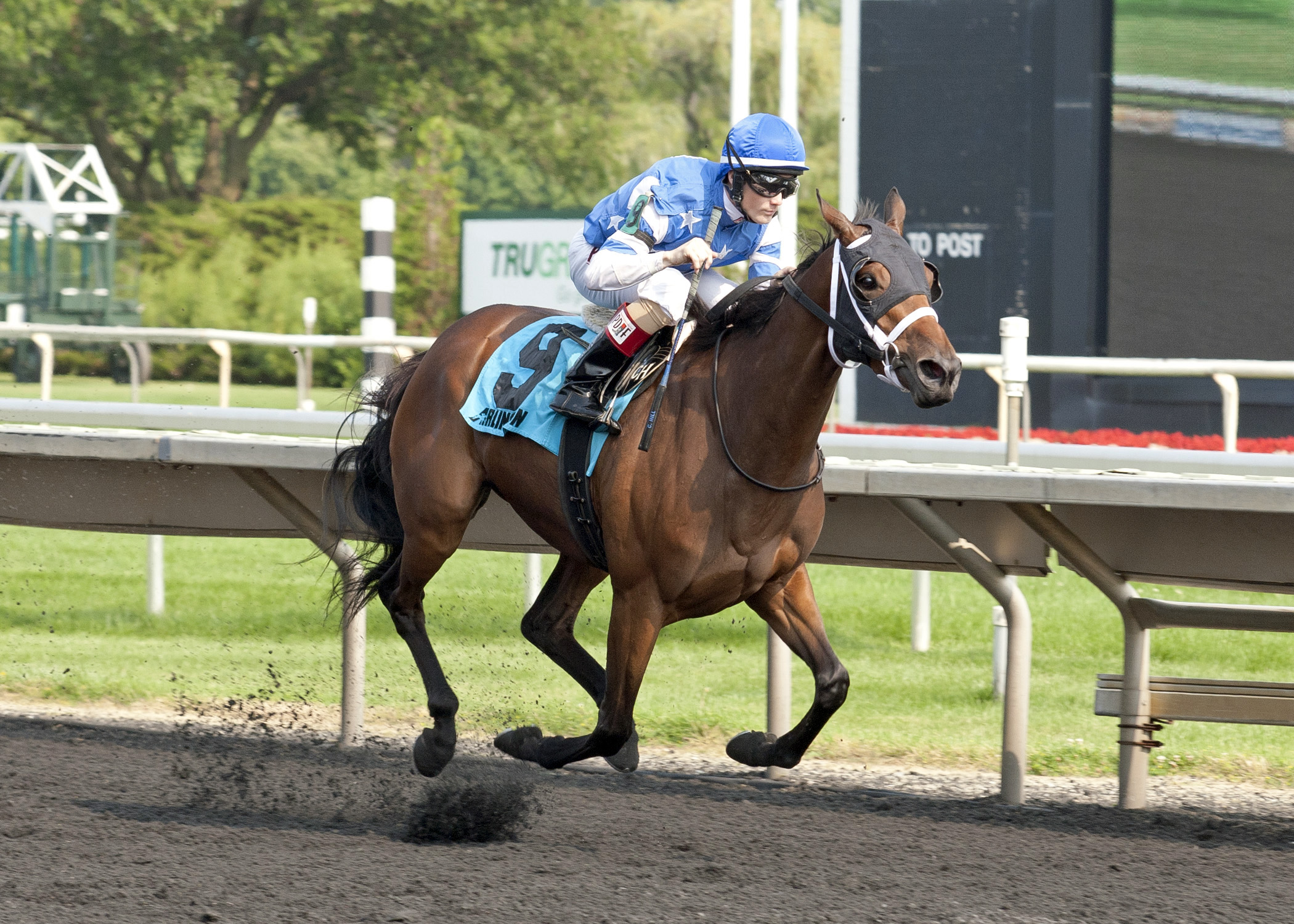 Aurelia's Belle wins the Arlington Oaks
