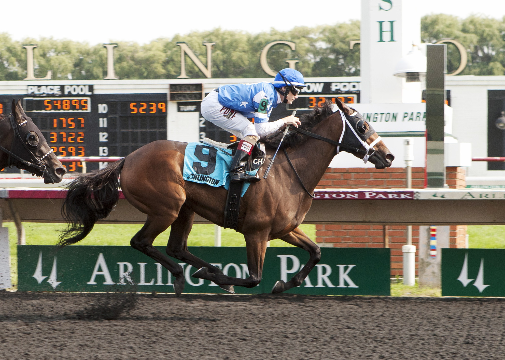 Aurelia's Belle wins the Arlington Oaks