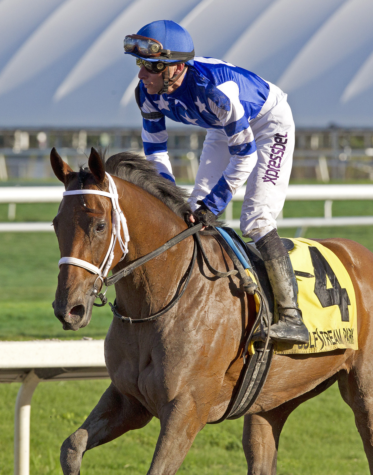 Aurelia's Belle in the Davona Dale