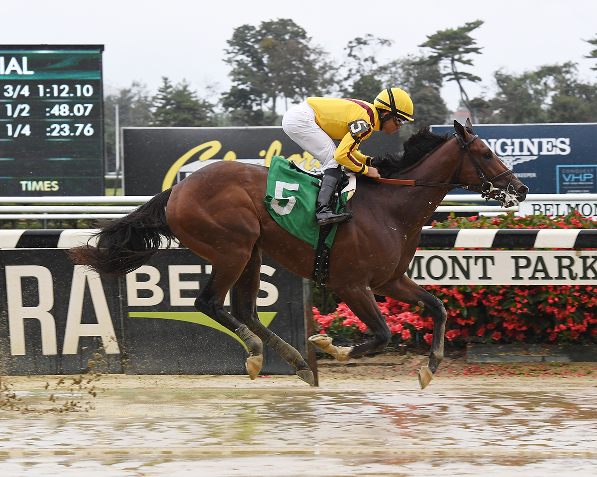 Aurelius Maximus wins a Sept. 9 maiden race