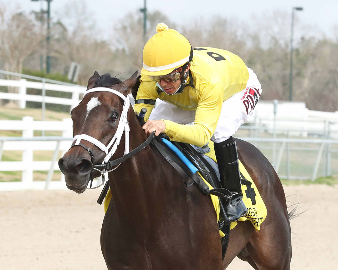 Australasia wins the 2021 Louisiana-bred Premier Starlet Stakes at Delta Downs