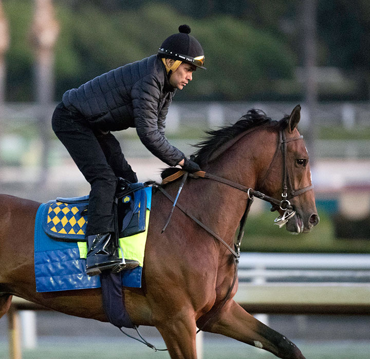 Authentic trains at Santa Anita Park in October 2019