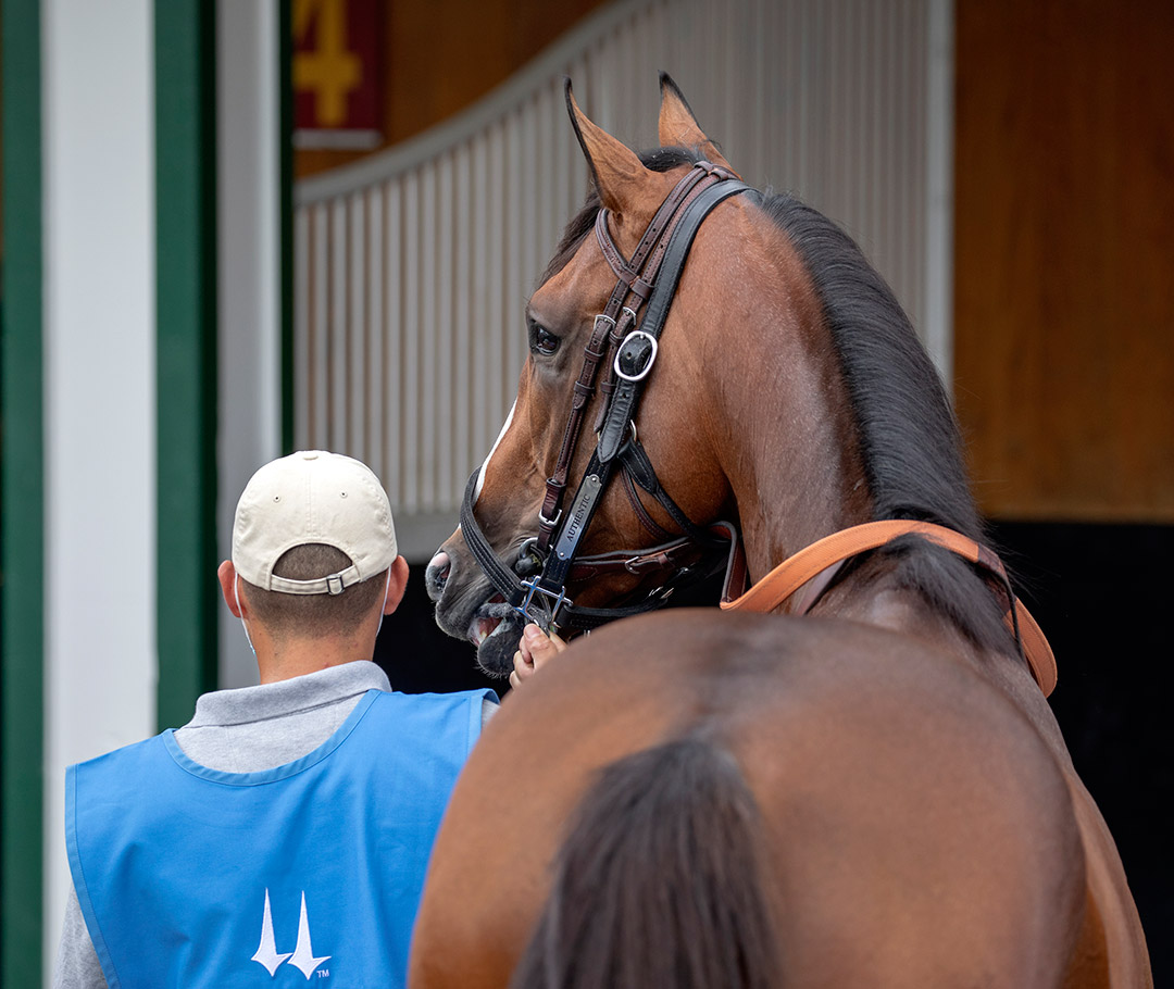 Authentic at Churchill Downs in September 2020