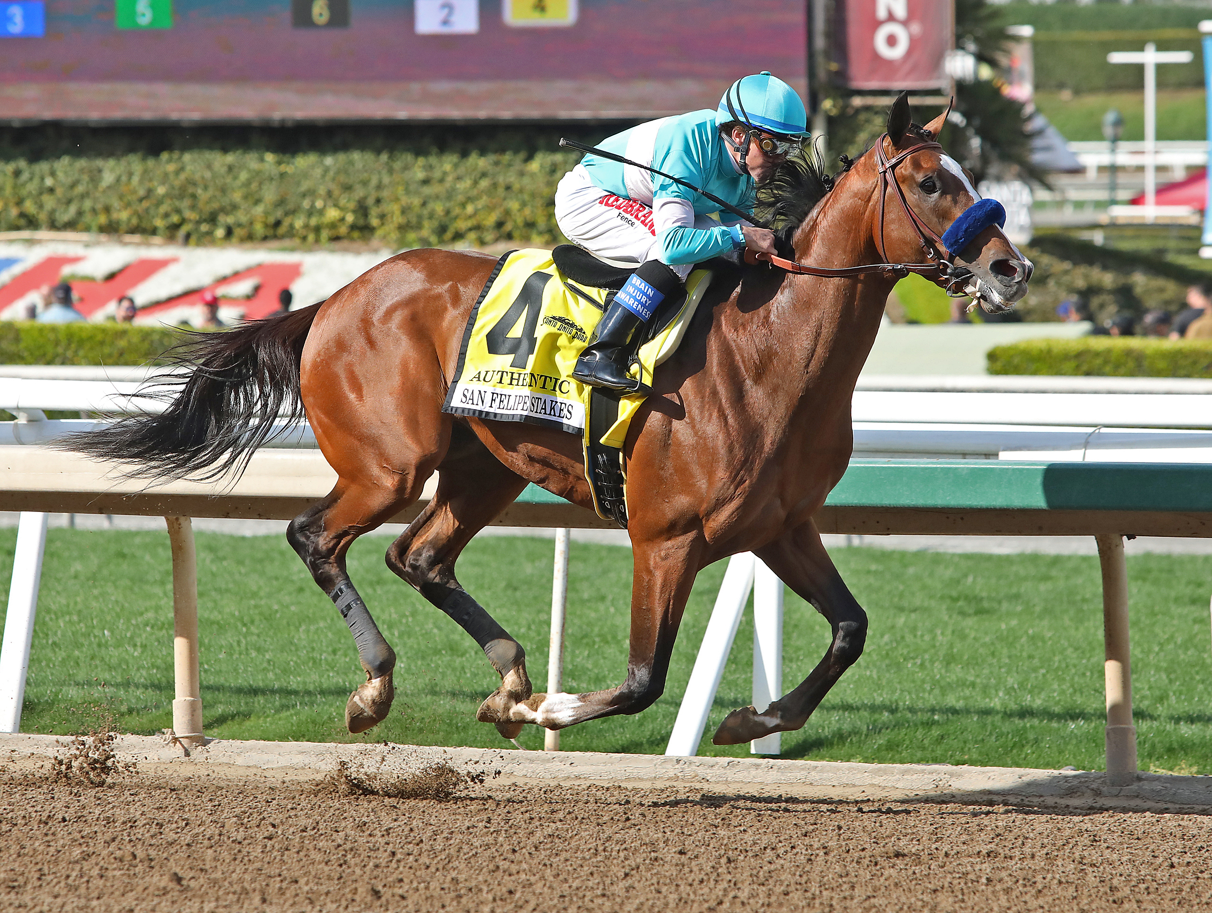 Authentic wins the 2020 San Felipe Stakes