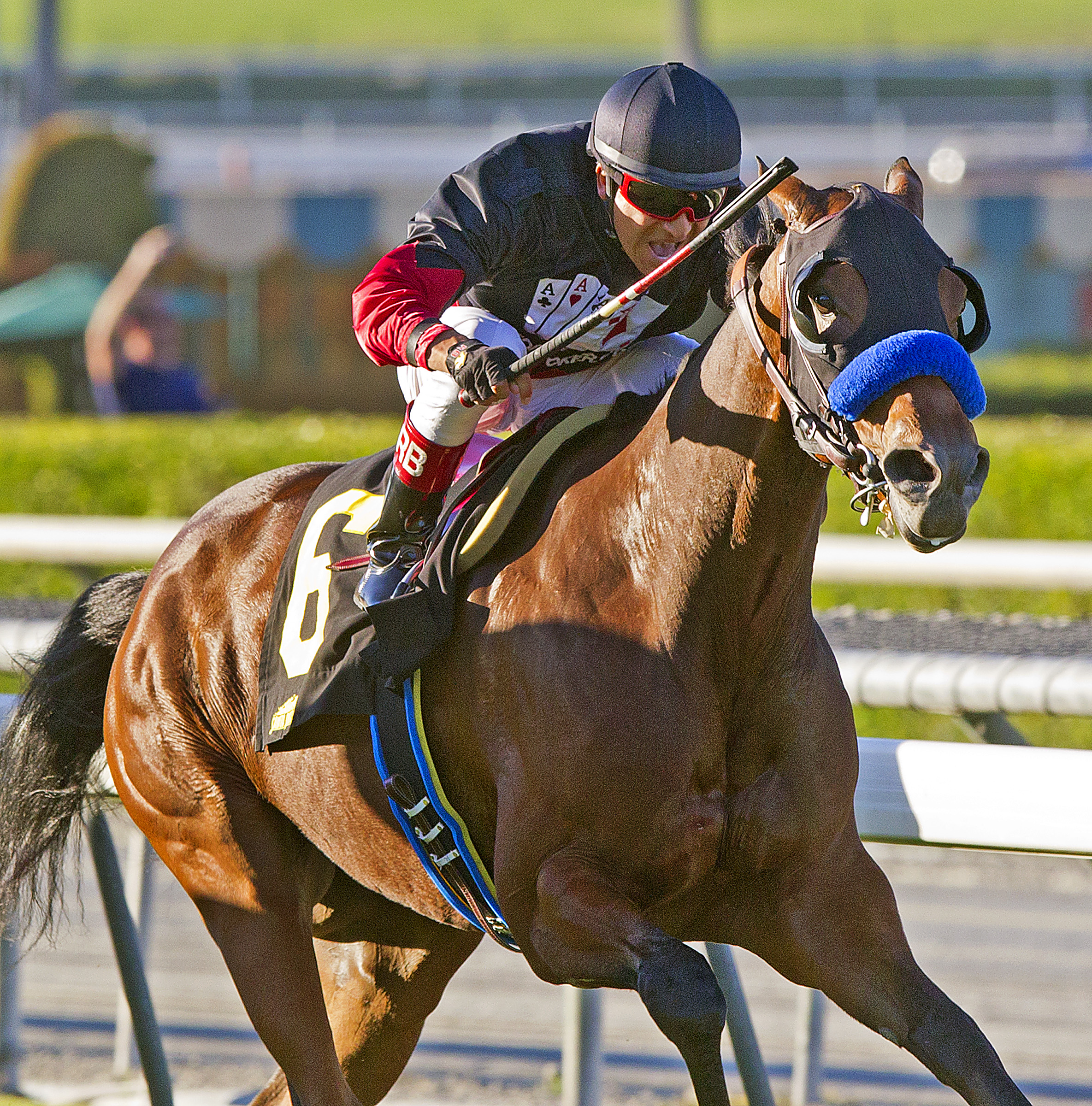 Lady Ten 10-27-2012