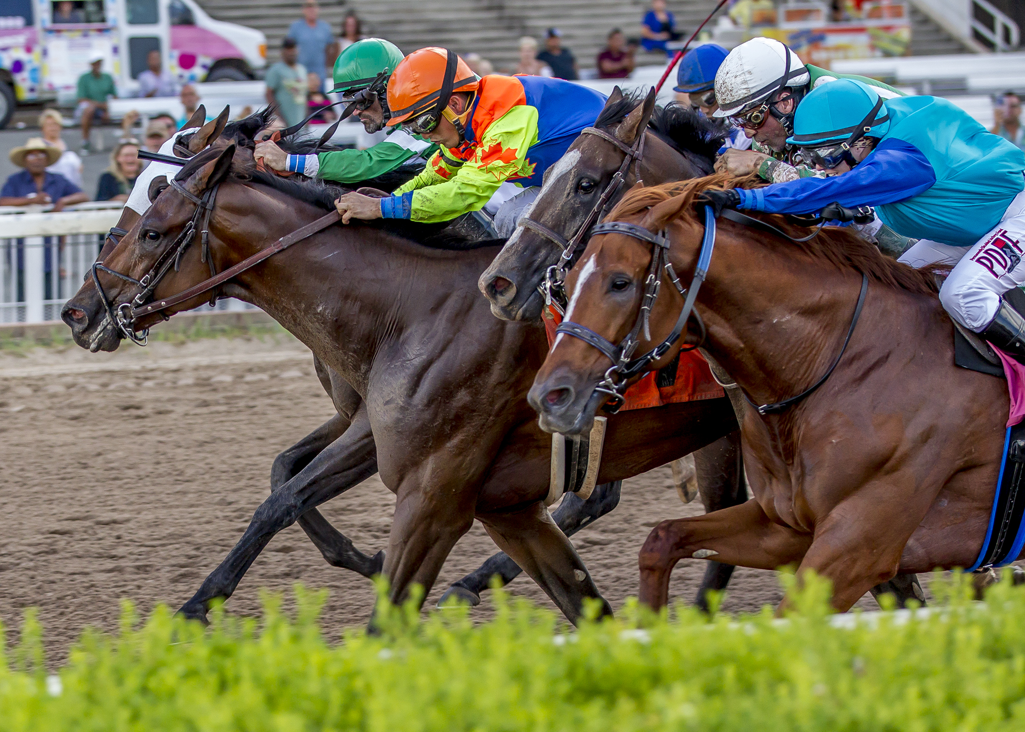 Autumn Warrior wins 2018 Prelude