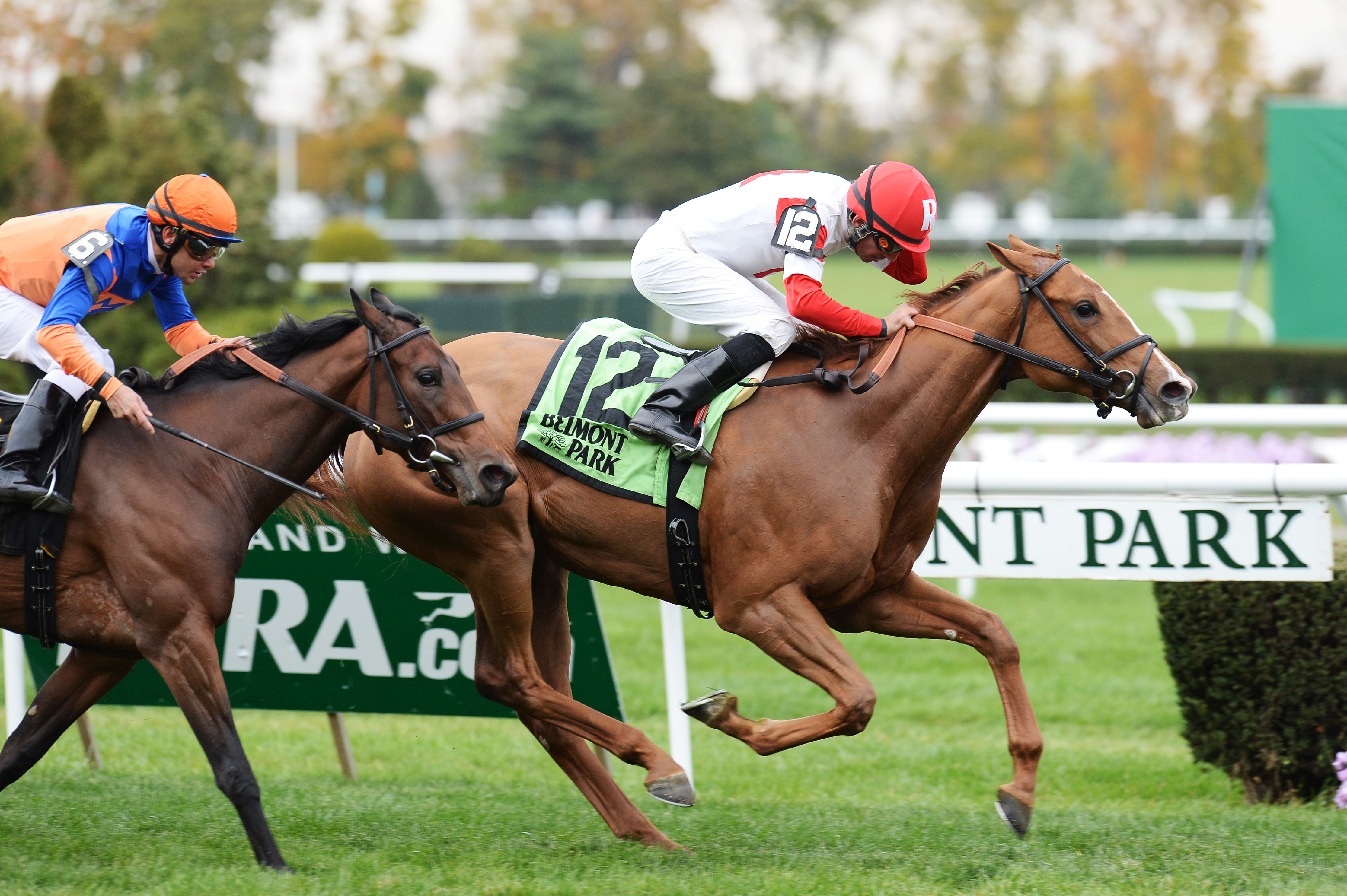 Ava's Kitten wins the Chelsey Flower Stakes