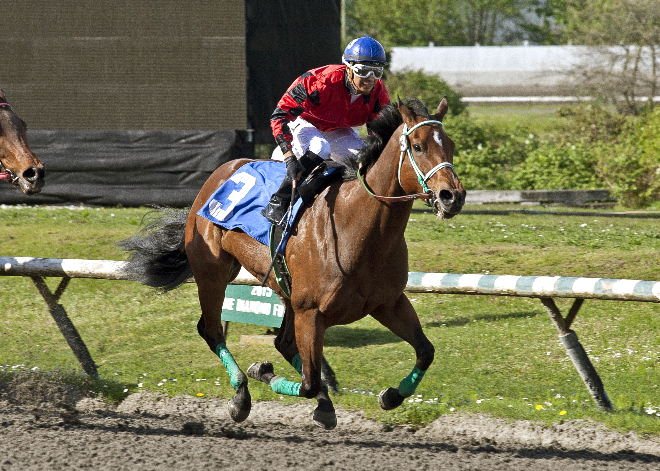 Avadiva wins the Brighouse Belles Stakes