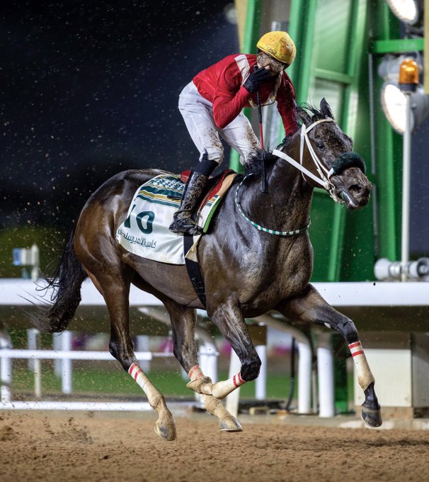 Avalina - Jose Ortiz - Saudi Arabia